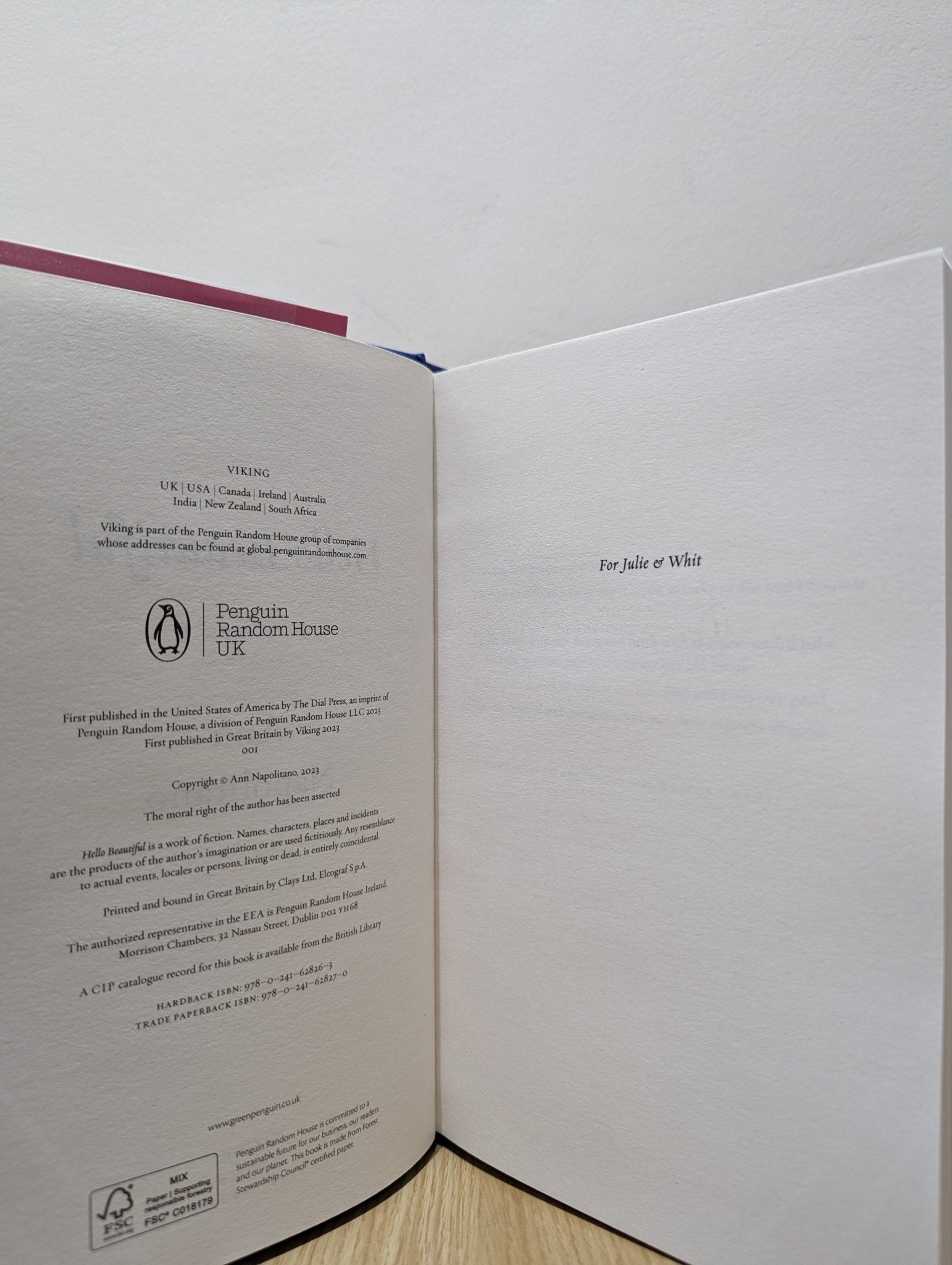 Hello Beautiful by Ann Napolitano (First Edition) - Fialta Books