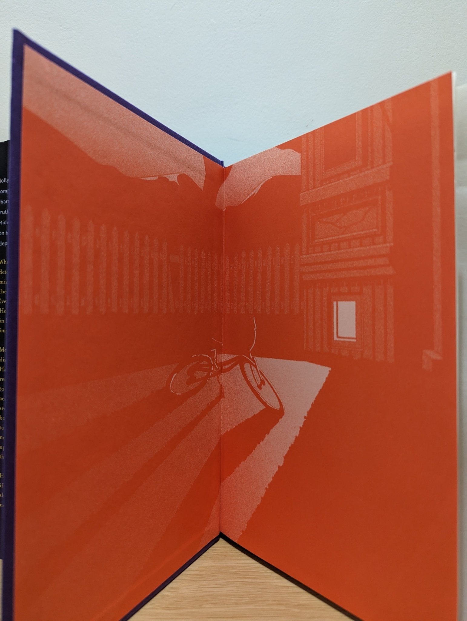 Holly by Stephen King (Collector's Edition) - Fialta Books