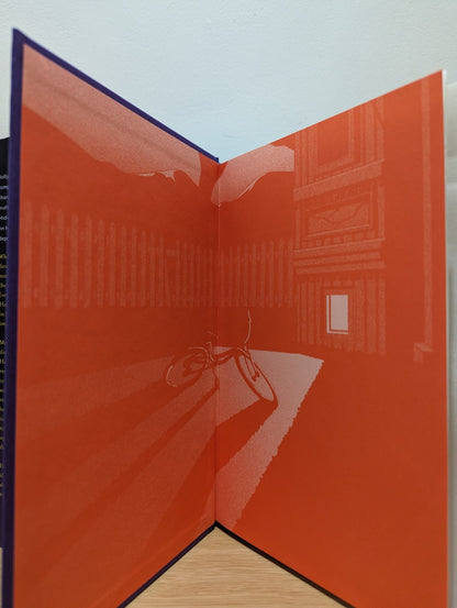 Holly by Stephen King (Collector's Edition) - Fialta Books