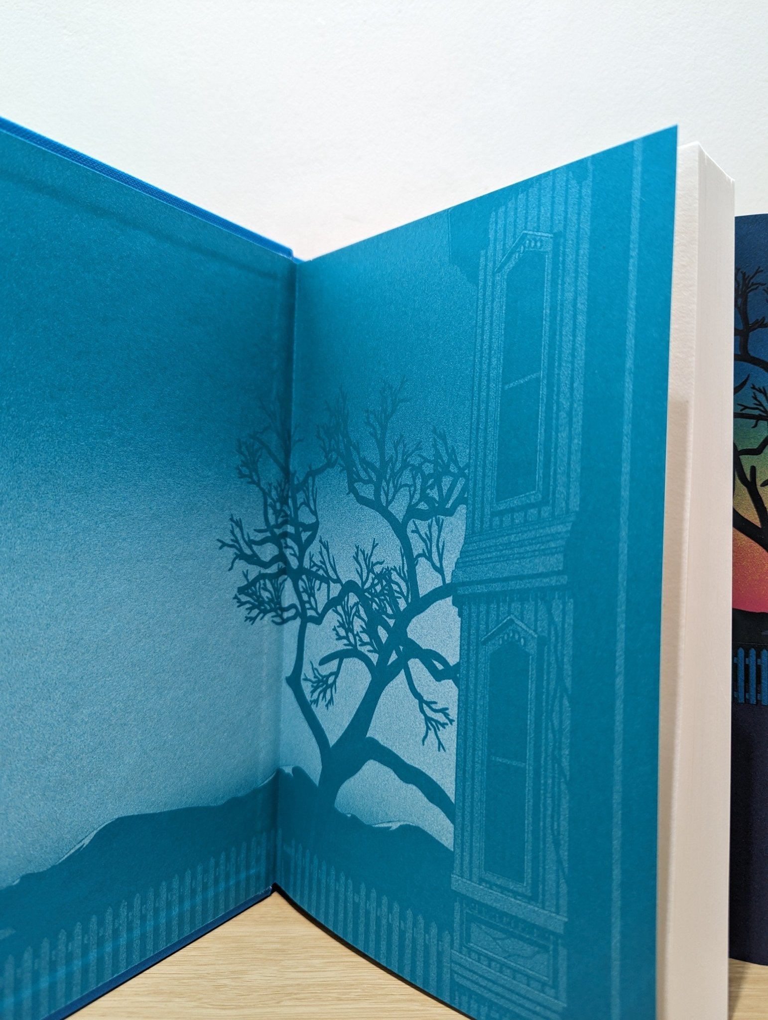 Holly by Stephen King (First Edition) - Fialta Books