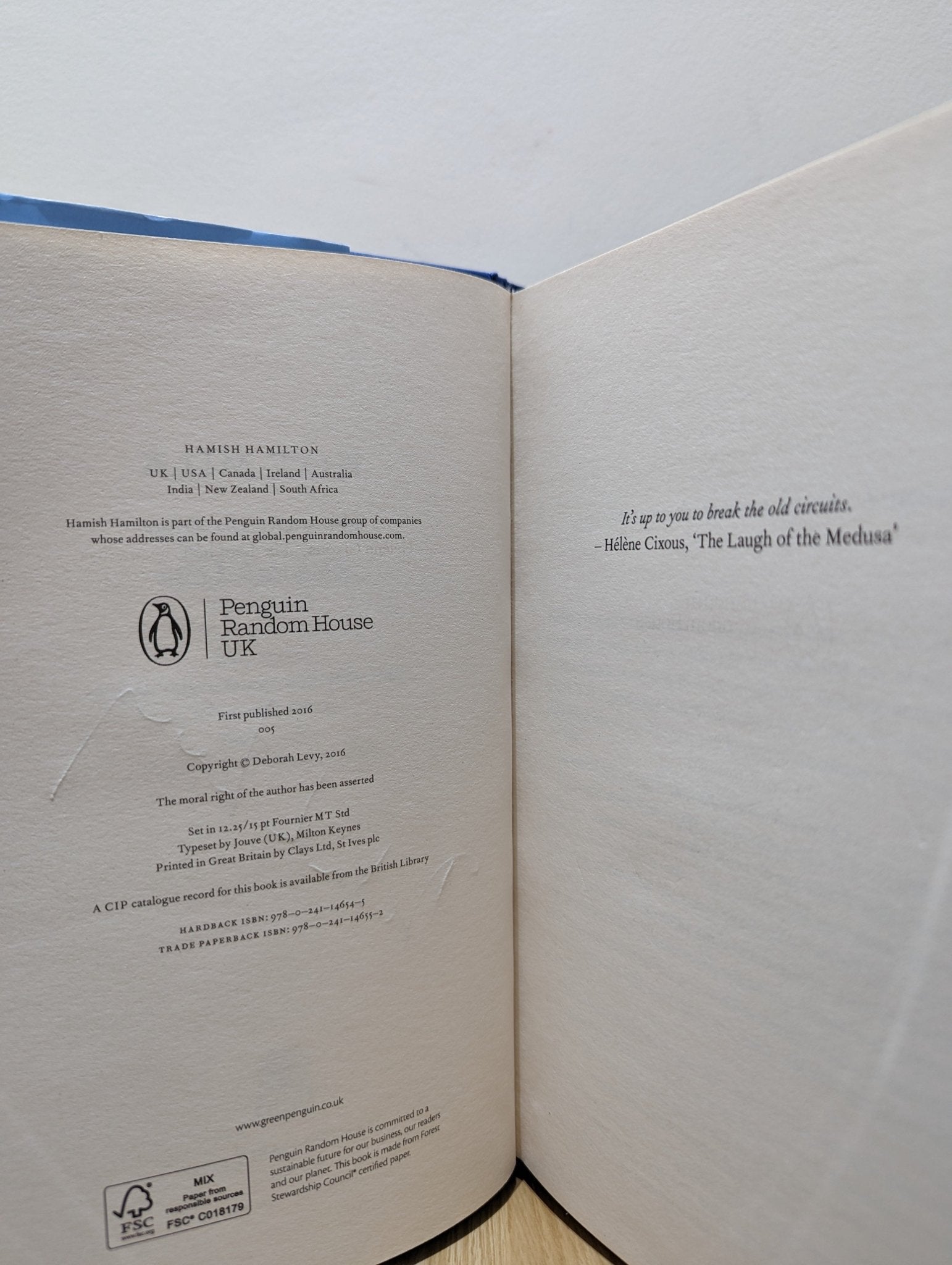 Hot Milk by Deborah Levy (Signed) - Fialta Books