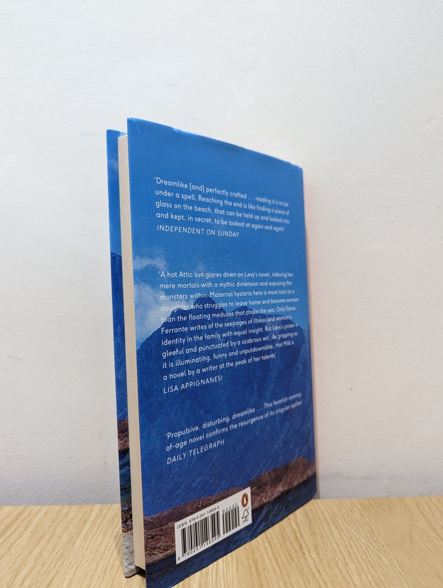 Hot Milk by Deborah Levy (Signed) - Fialta Books