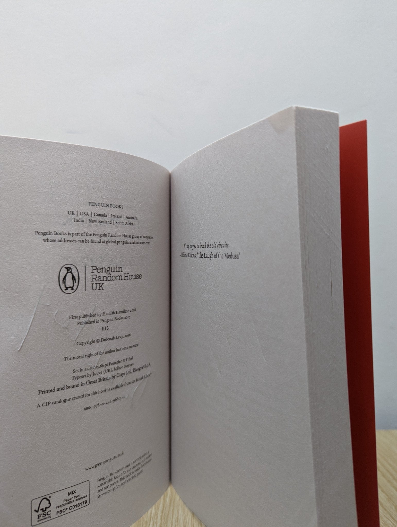 Hot Milk by Deborah Levy (Signed Paperback Edition) - Fialta Books