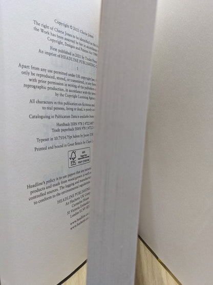 How the One - Armed Sister Sweeps Her House by Cherie Jones - Fialta Books