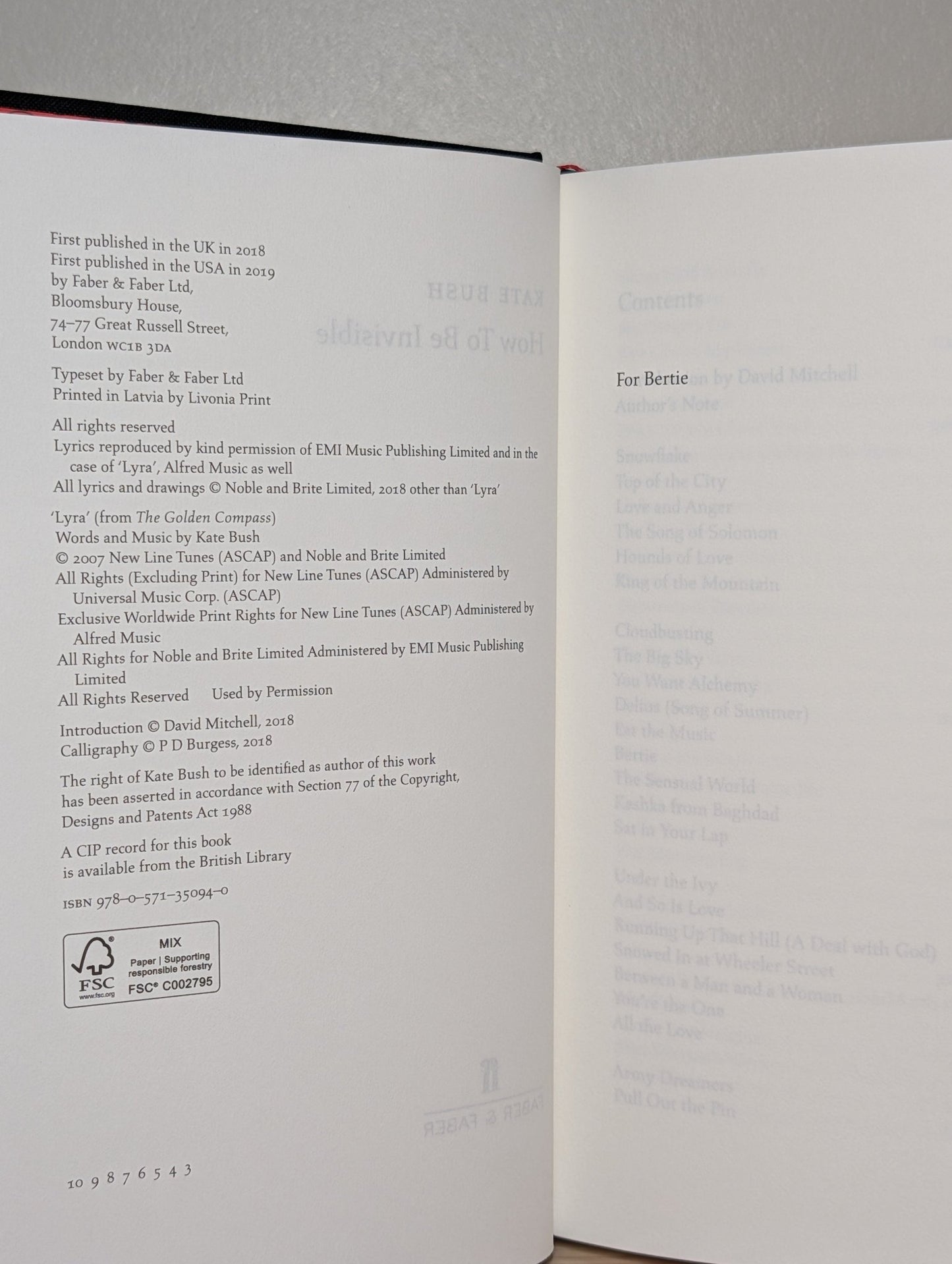 How To Be Invisible by Kate Bush (Hardback Edition) - Fialta Books
