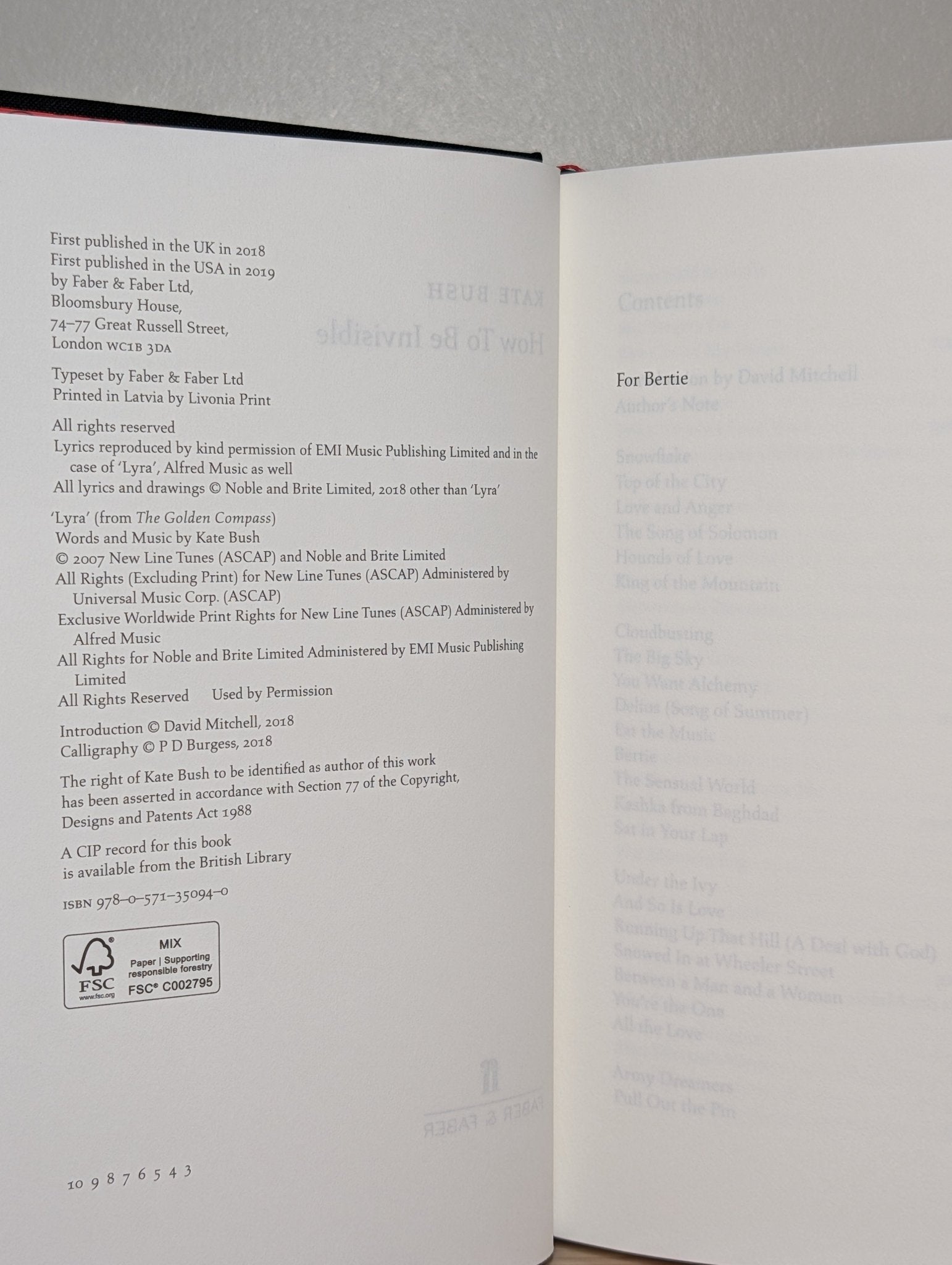 How To Be Invisible by Kate Bush (Hardback Edition) - Fialta Books