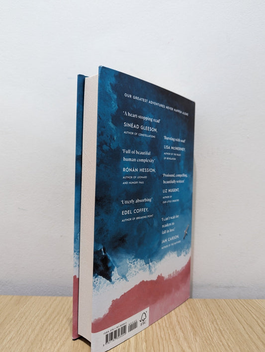 How to Build a Boat by Elaine Feeney (First Edition) - Fialta Books