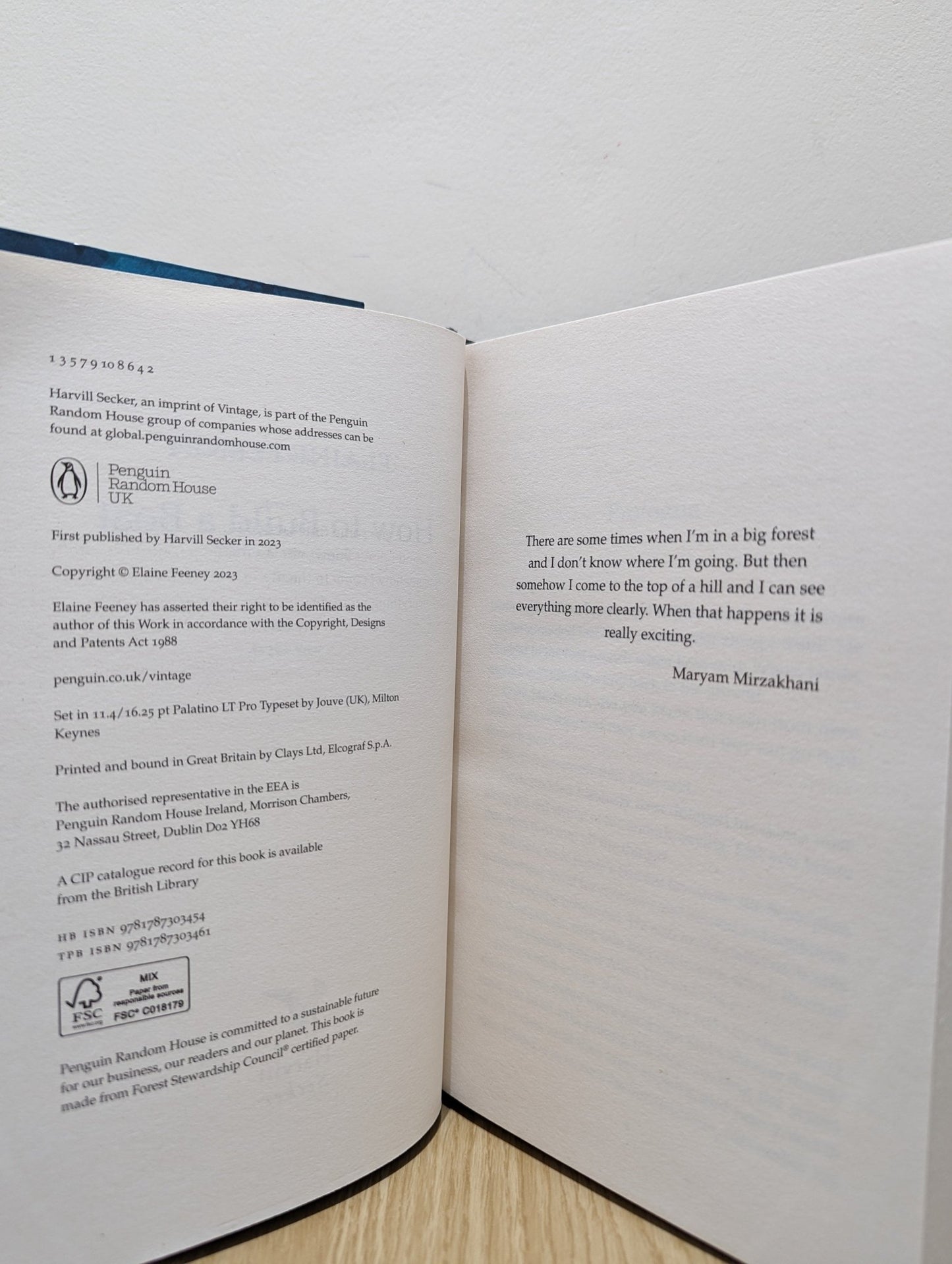 How to Build a Boat by Elaine Feeney (First Edition) - Fialta Books