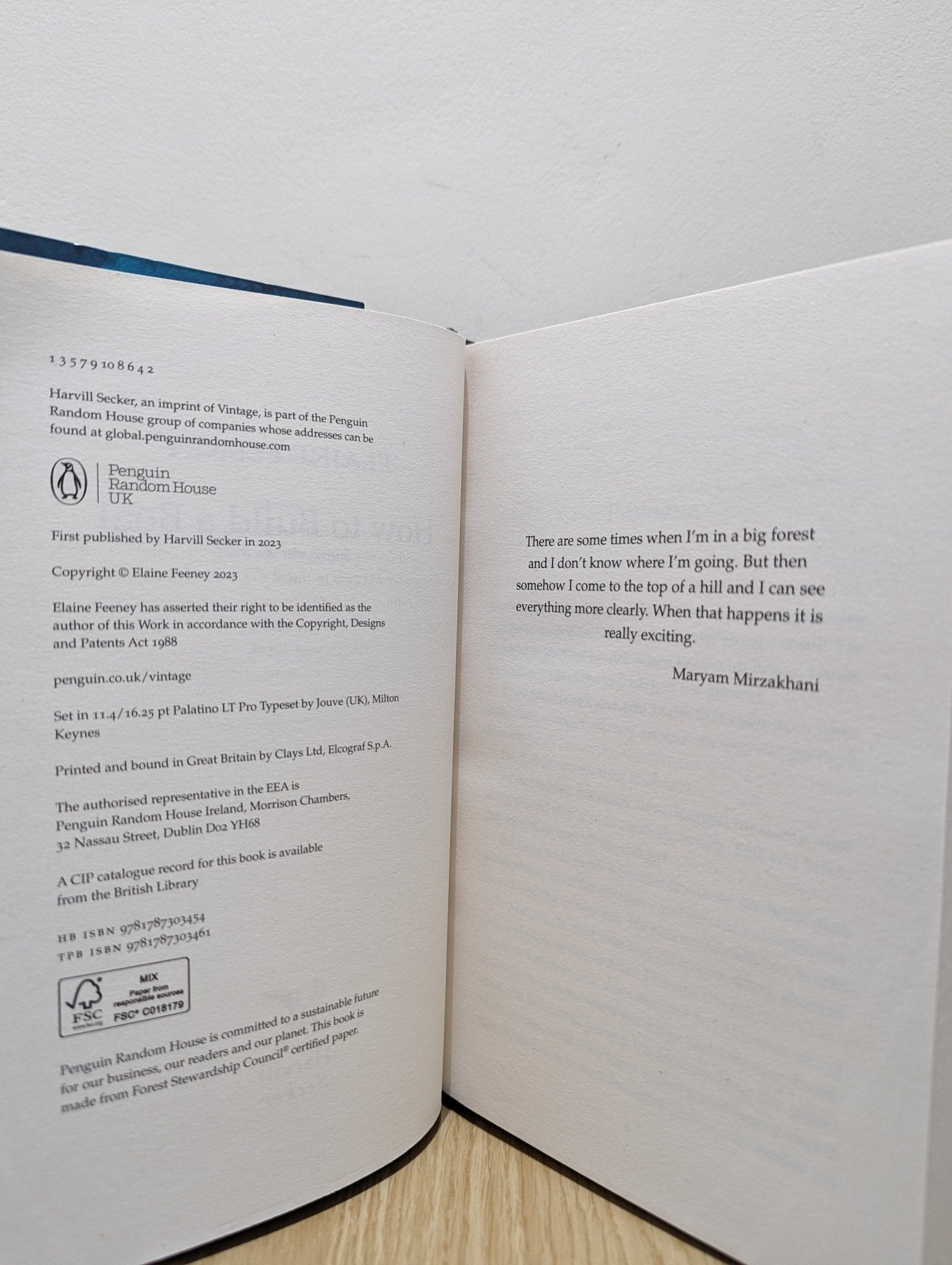 How to Build a Boat by Elaine Feeney (First Edition) - Fialta Books