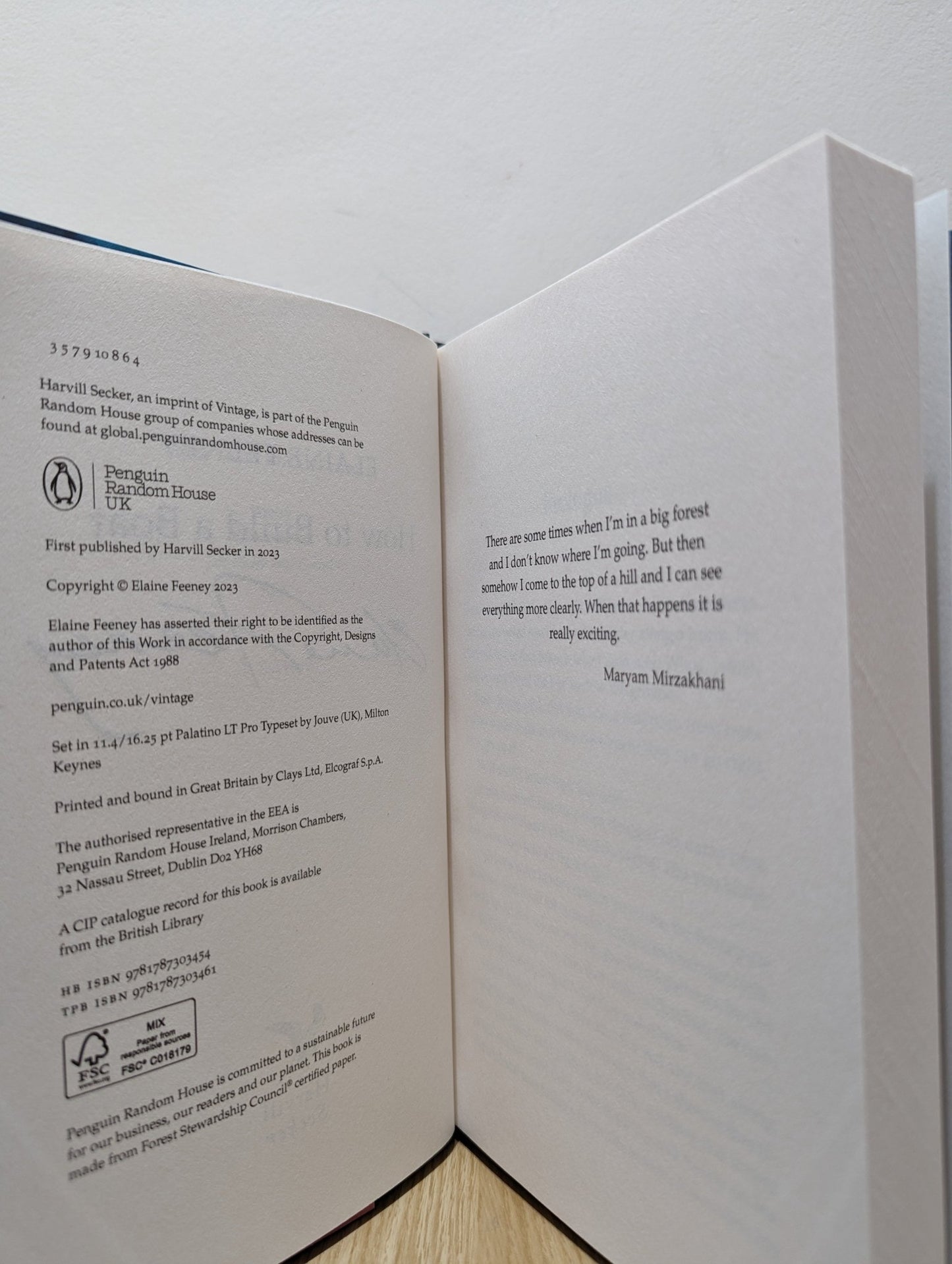 How to Build a Boat by Elaine Feeney (Signed) - Fialta Books