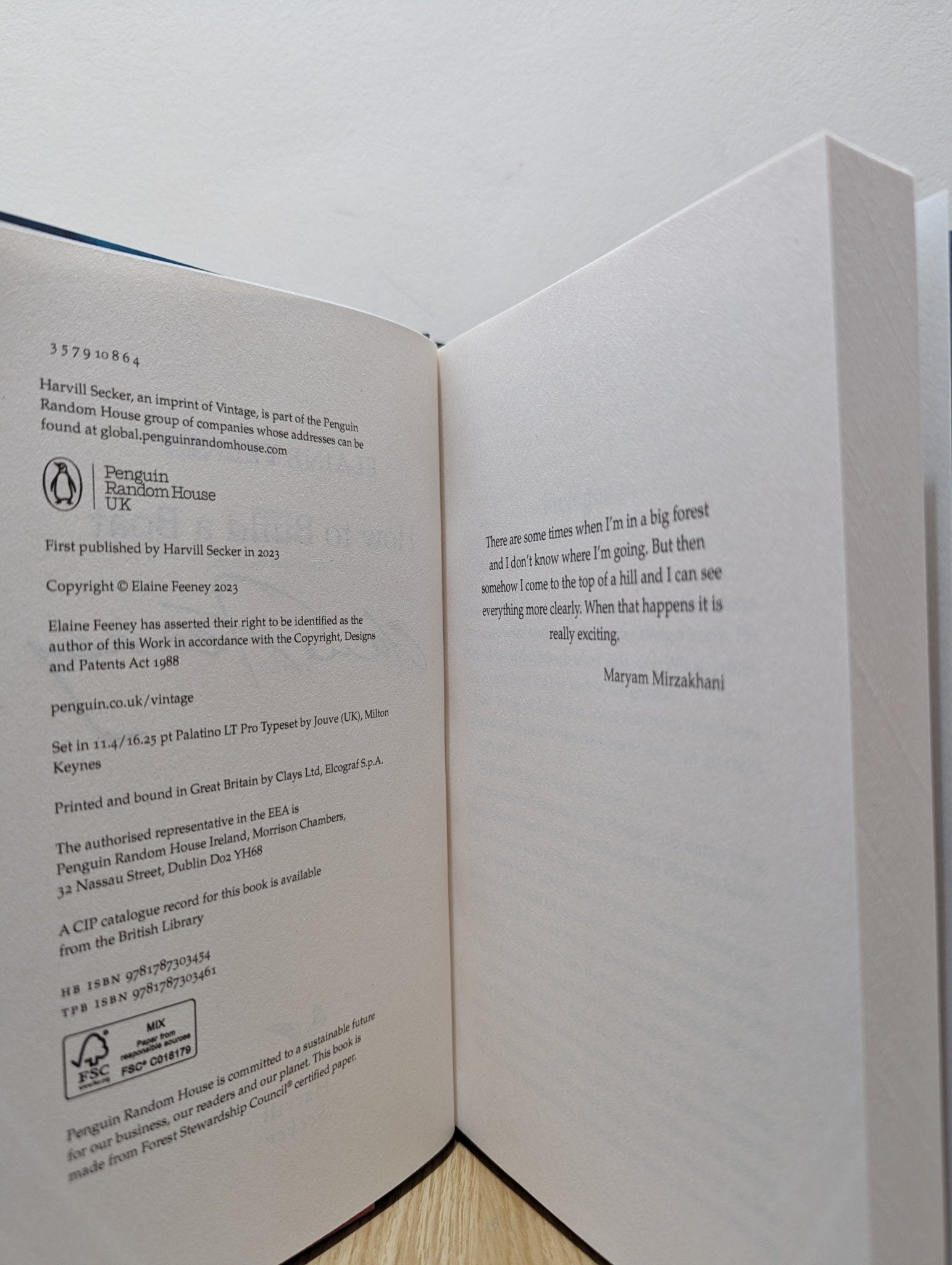 How to Build a Boat by Elaine Feeney (Signed) - Fialta Books