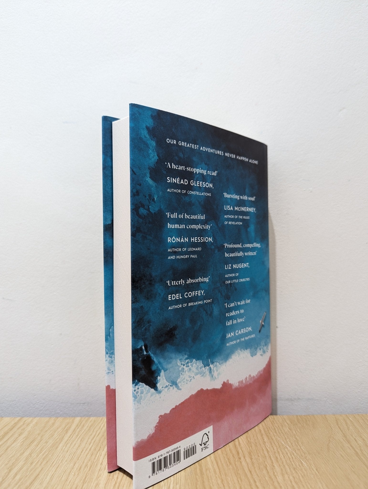 How to Build a Boat by Elaine Feeney (Signed) - Fialta Books