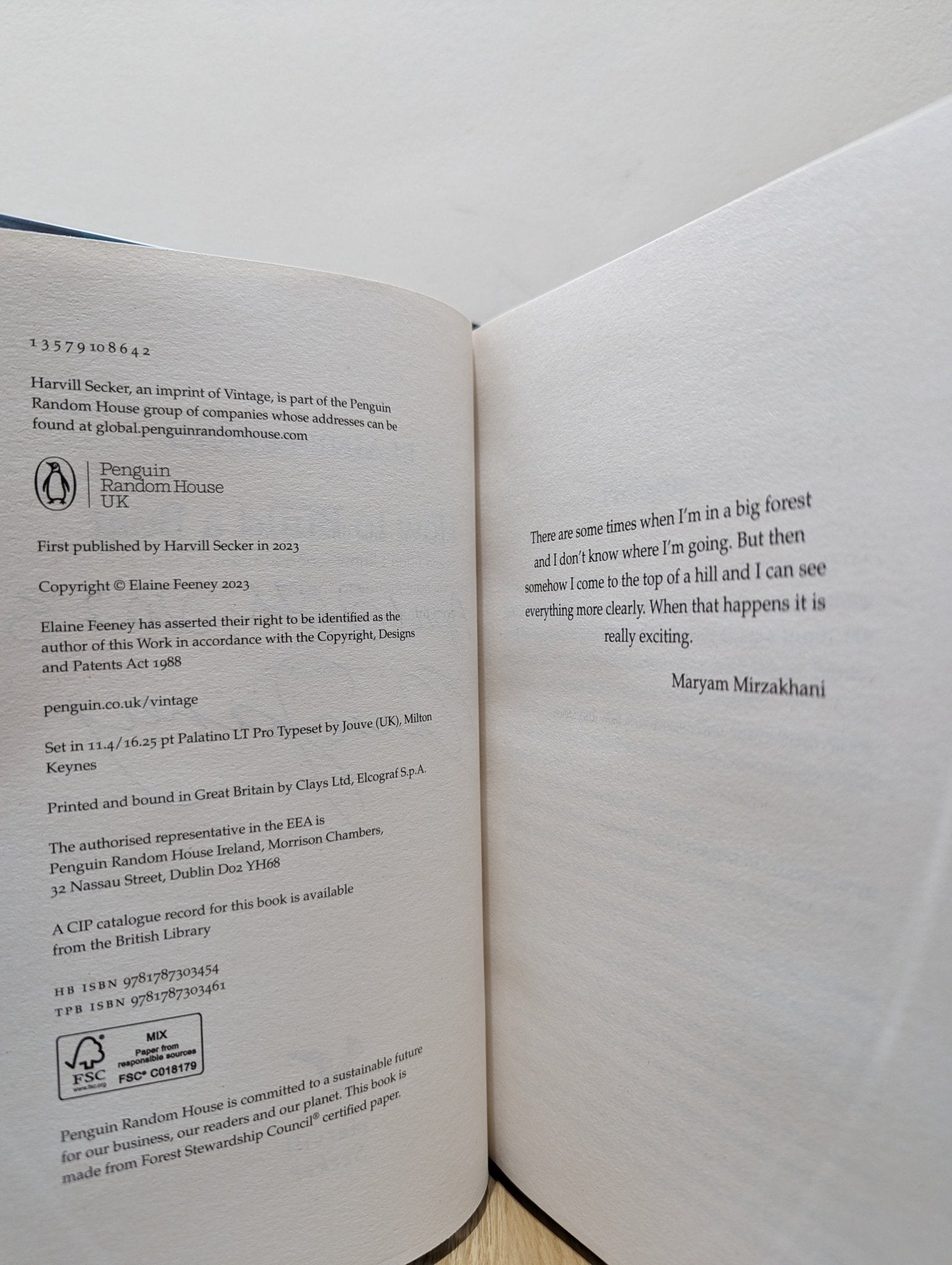 How to Build a Boat by Elaine Feeney (Signed Dated First Edition) - Fialta Books