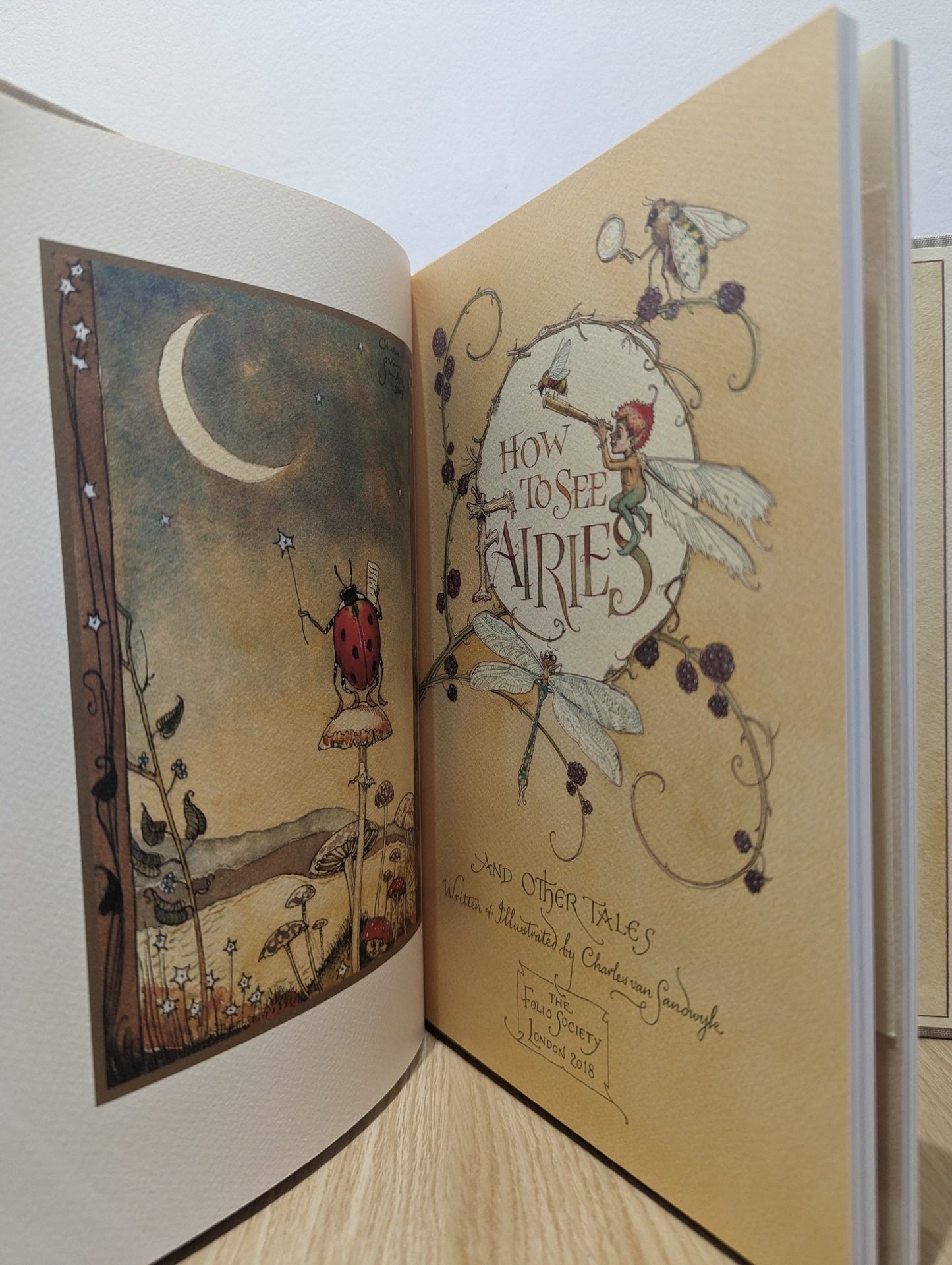 How to See Fairies by Charles van Sandwyk (Folio Slipcase Edition) - Fialta Books