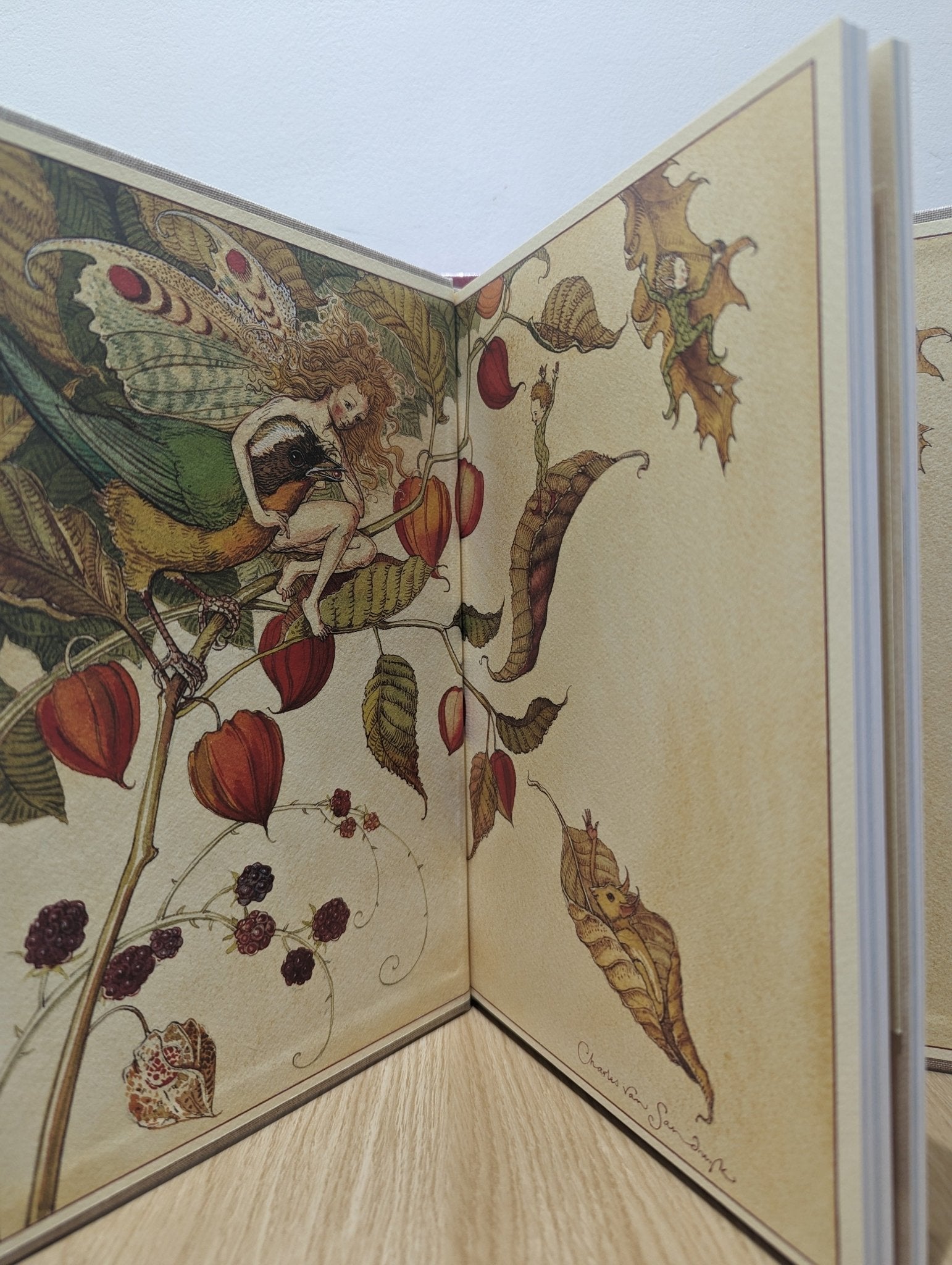 How to See Fairies by Charles van Sandwyk (Folio Slipcase Edition) - Fialta Books