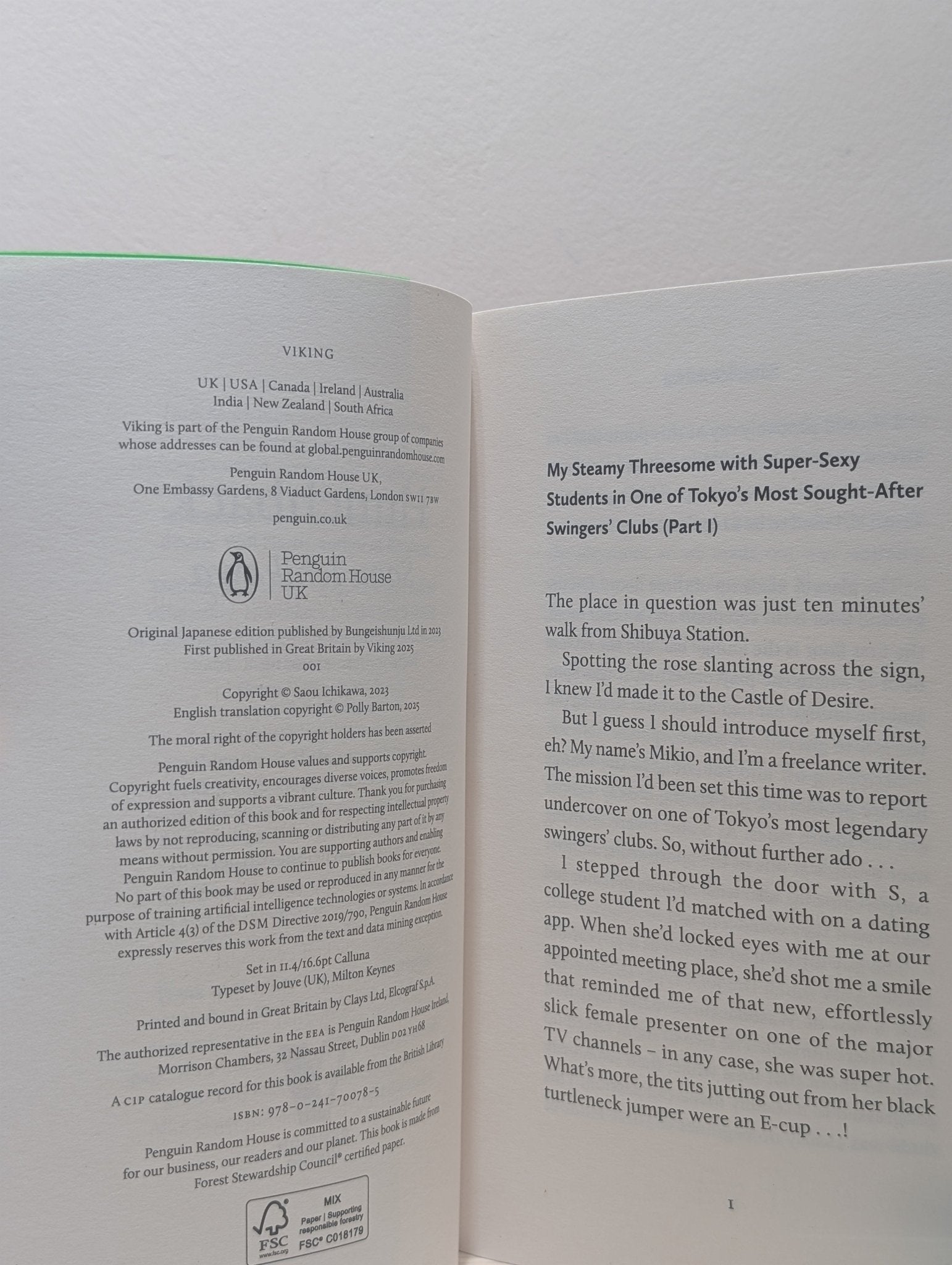 Hunchback by Saou Ichikawa (First Edition) - Fialta Books