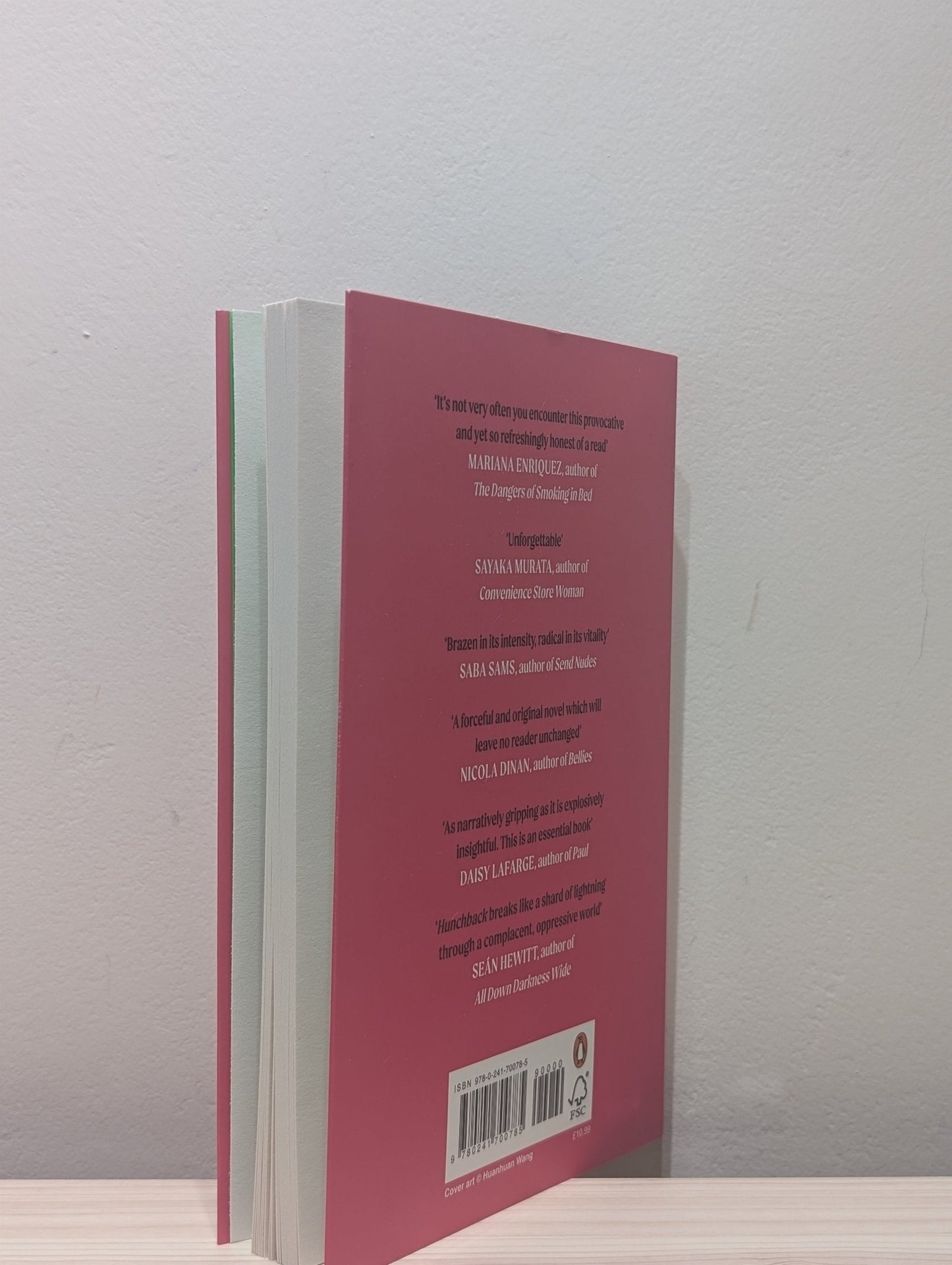 Hunchback by Saou Ichikawa (First Edition) - Fialta Books