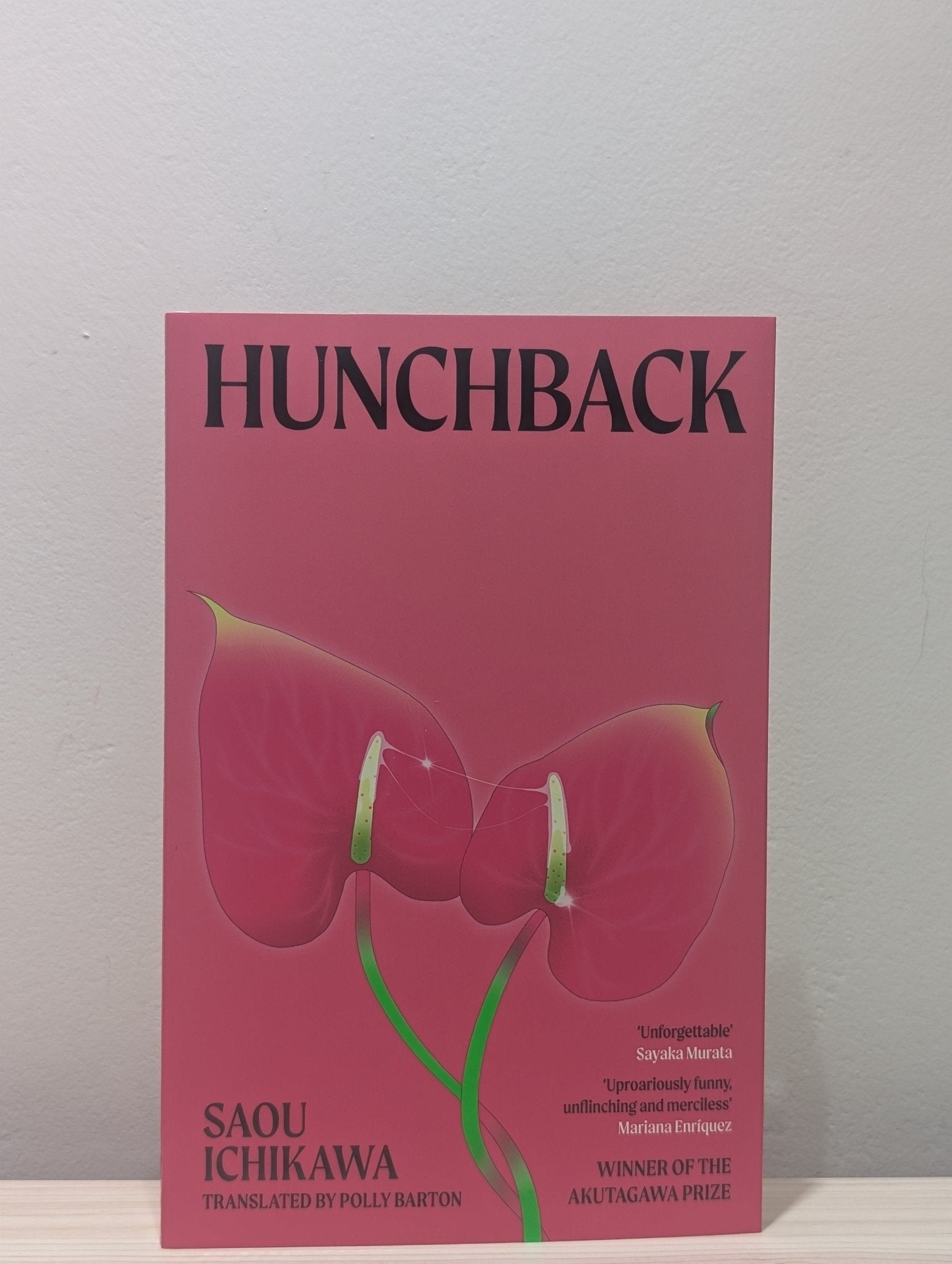Hunchback by Saou Ichikawa (First Edition) - Fialta Books