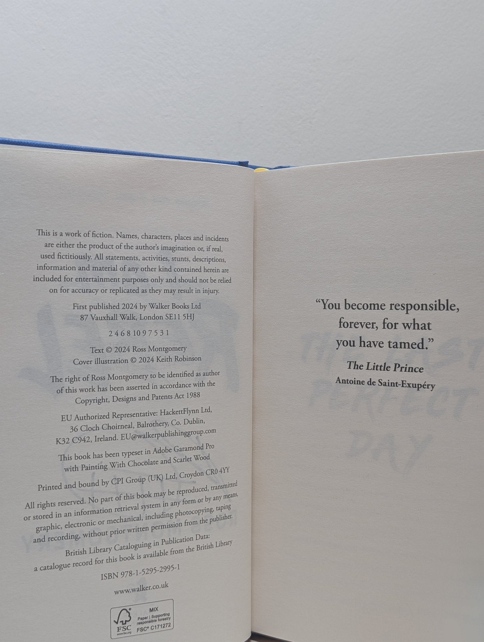 I Am Rebel by Ross Montgomery (Signed First Hardback Edition) - Fialta Books