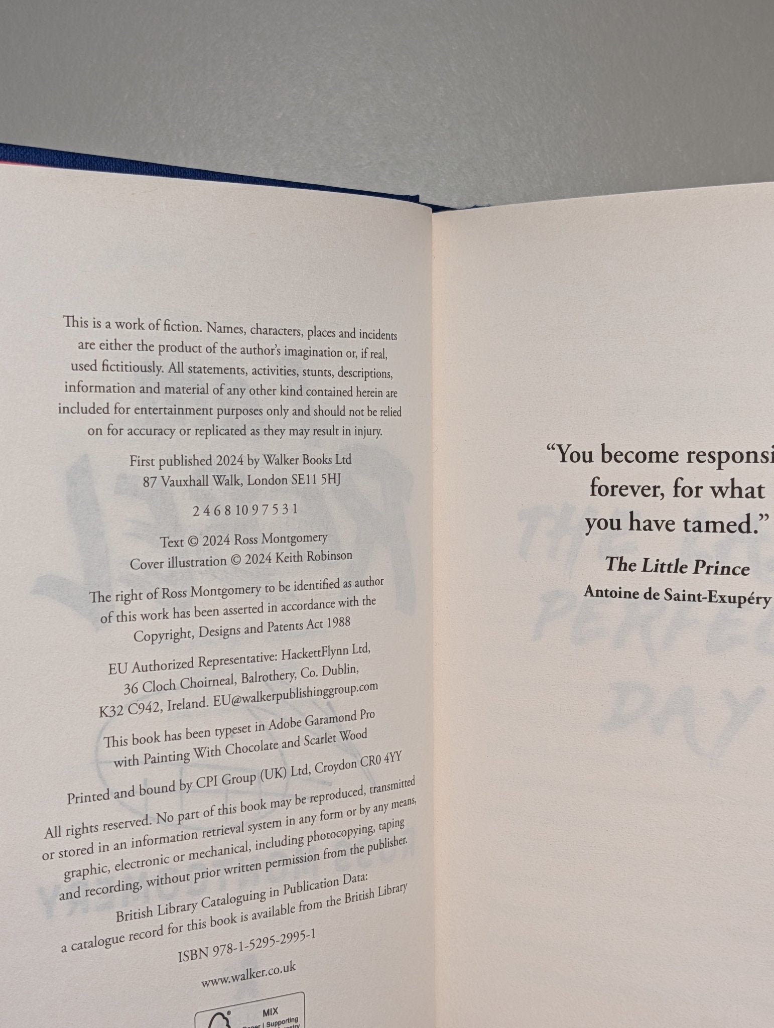 I Am Rebel by Ross Montgomery (Signed First Hardback Edition) - Fialta Books