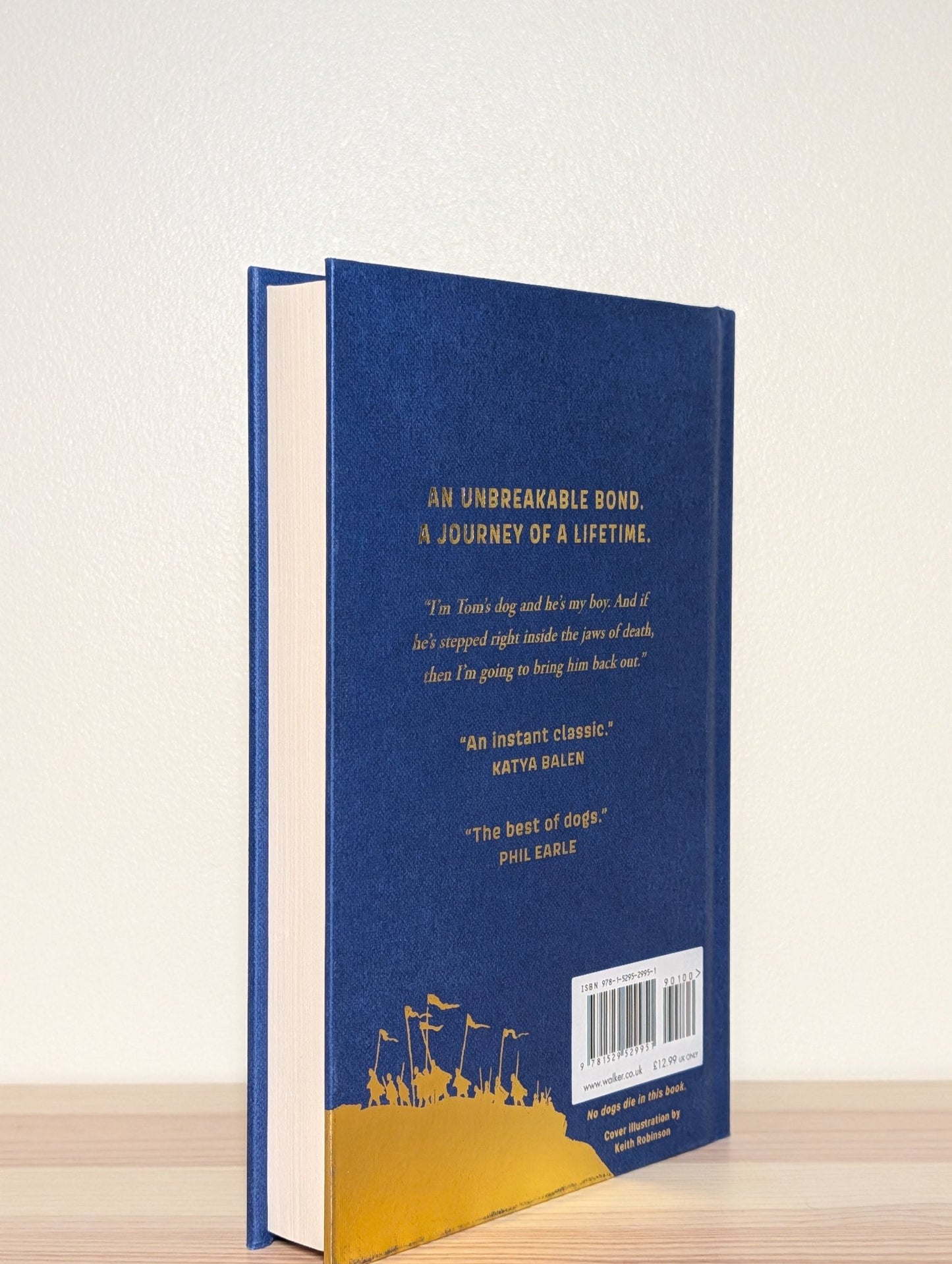 I Am Rebel by Ross Montgomery (Signed First Hardback Edition) - Fialta Books