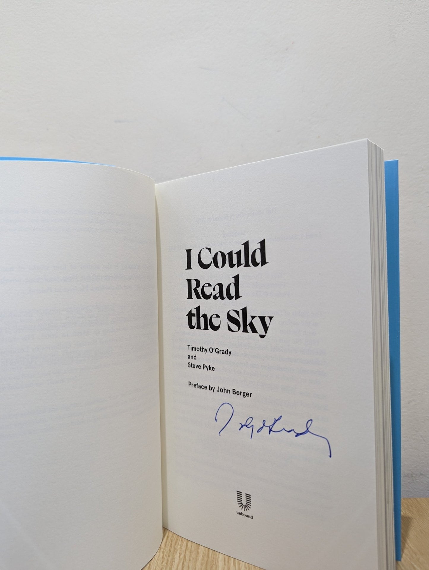 I Could Read the Sky by Timothy O'Grady (Signed New Edition) - Fialta Books
