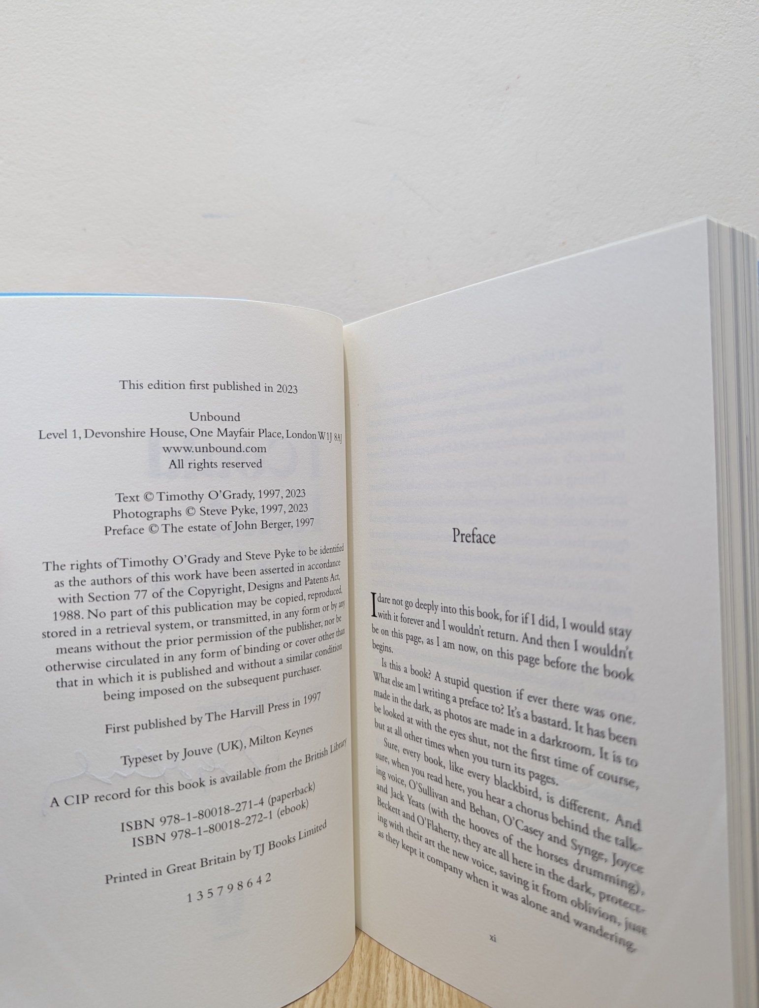 I Could Read the Sky by Timothy O'Grady (Signed New Edition) - Fialta Books