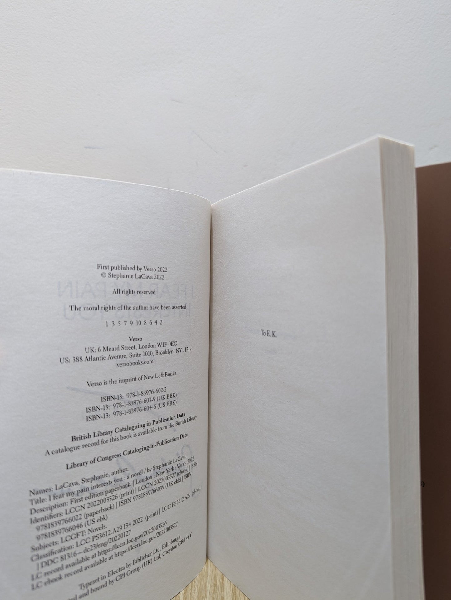 I Fear My Pain Interests You: A Novel by Stephanie LaCava (Signed First Edition) - Fialta Books