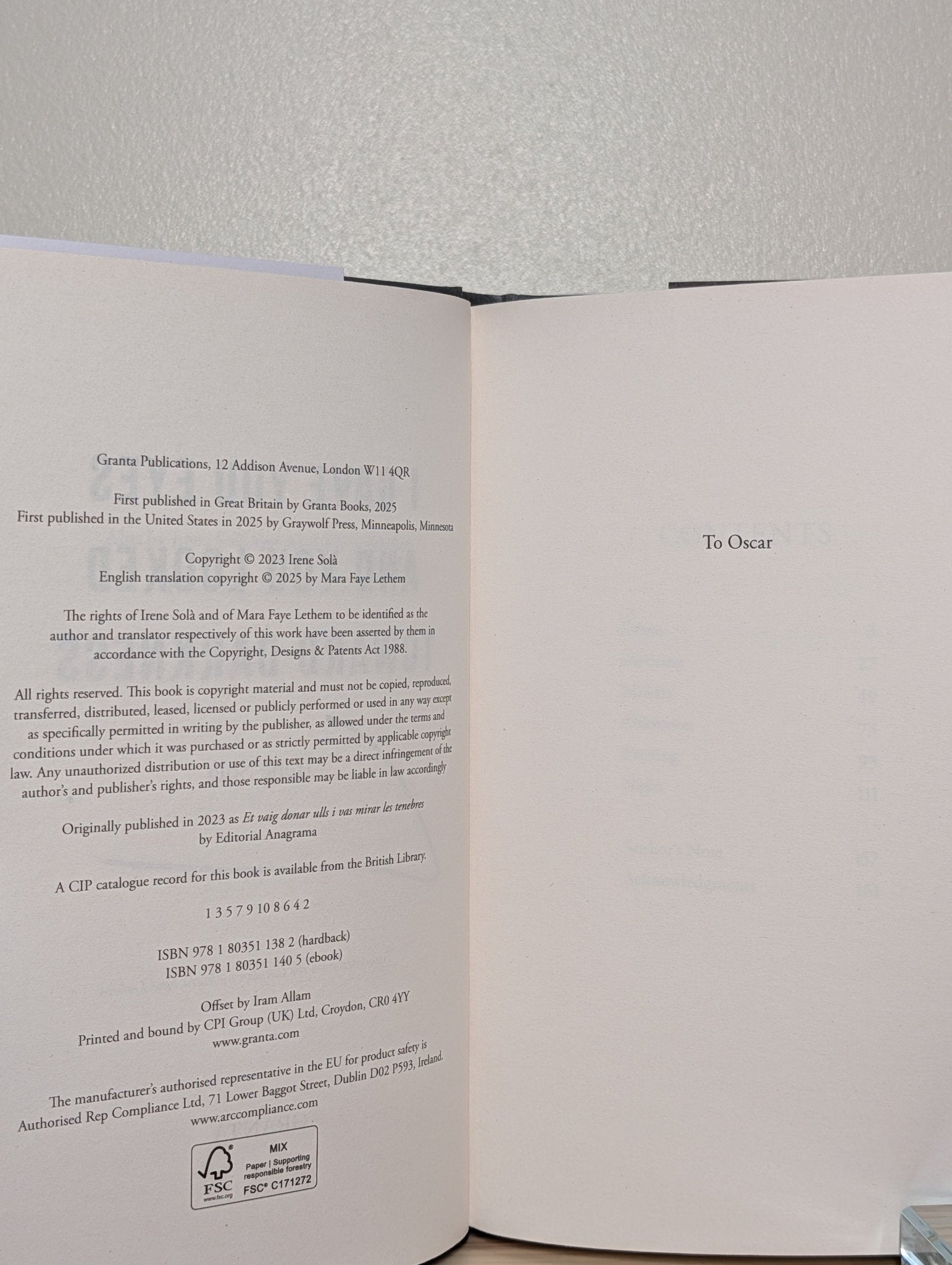 I Gave You Eyes and You Looked Toward Darkness by Irene Sola (Signed First Edition) - Fialta Books