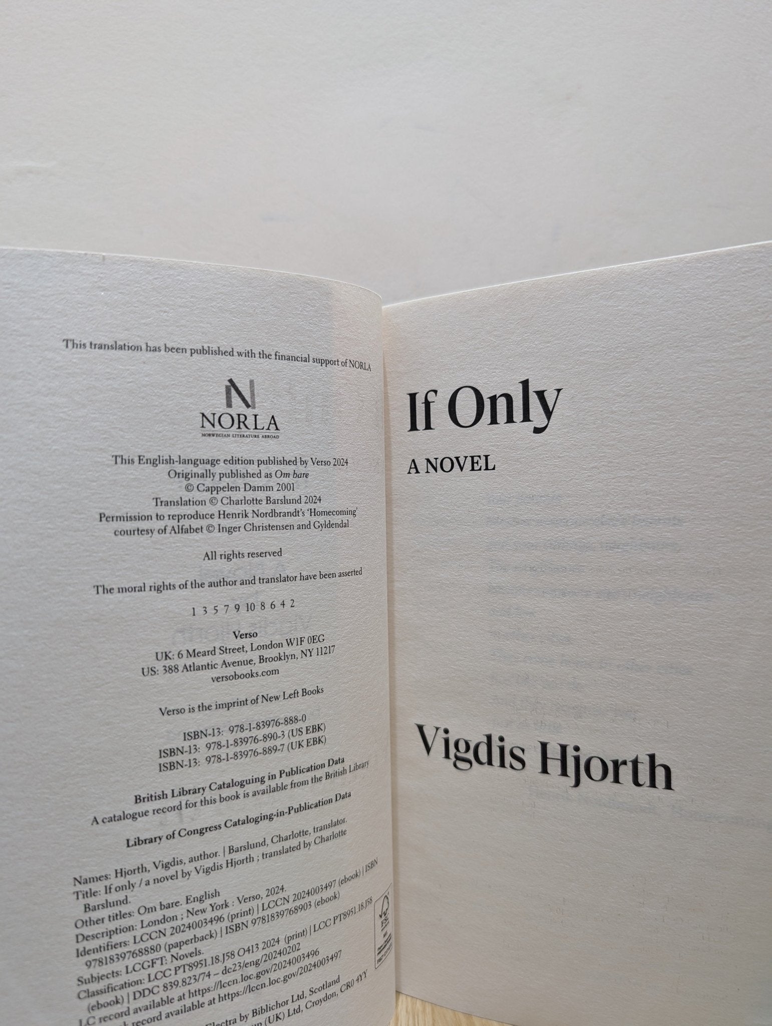 If Only by Vigdis Hjorth (Signed First Edition) - Fialta Books