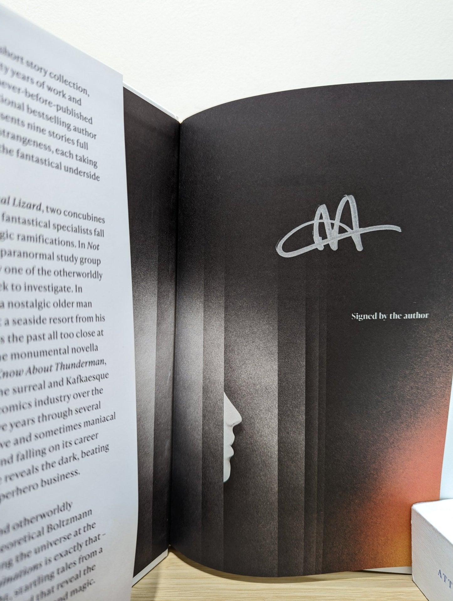 Illuminations by Alan Moore (Signed First Edition with sprayed edges) - Fialta Books