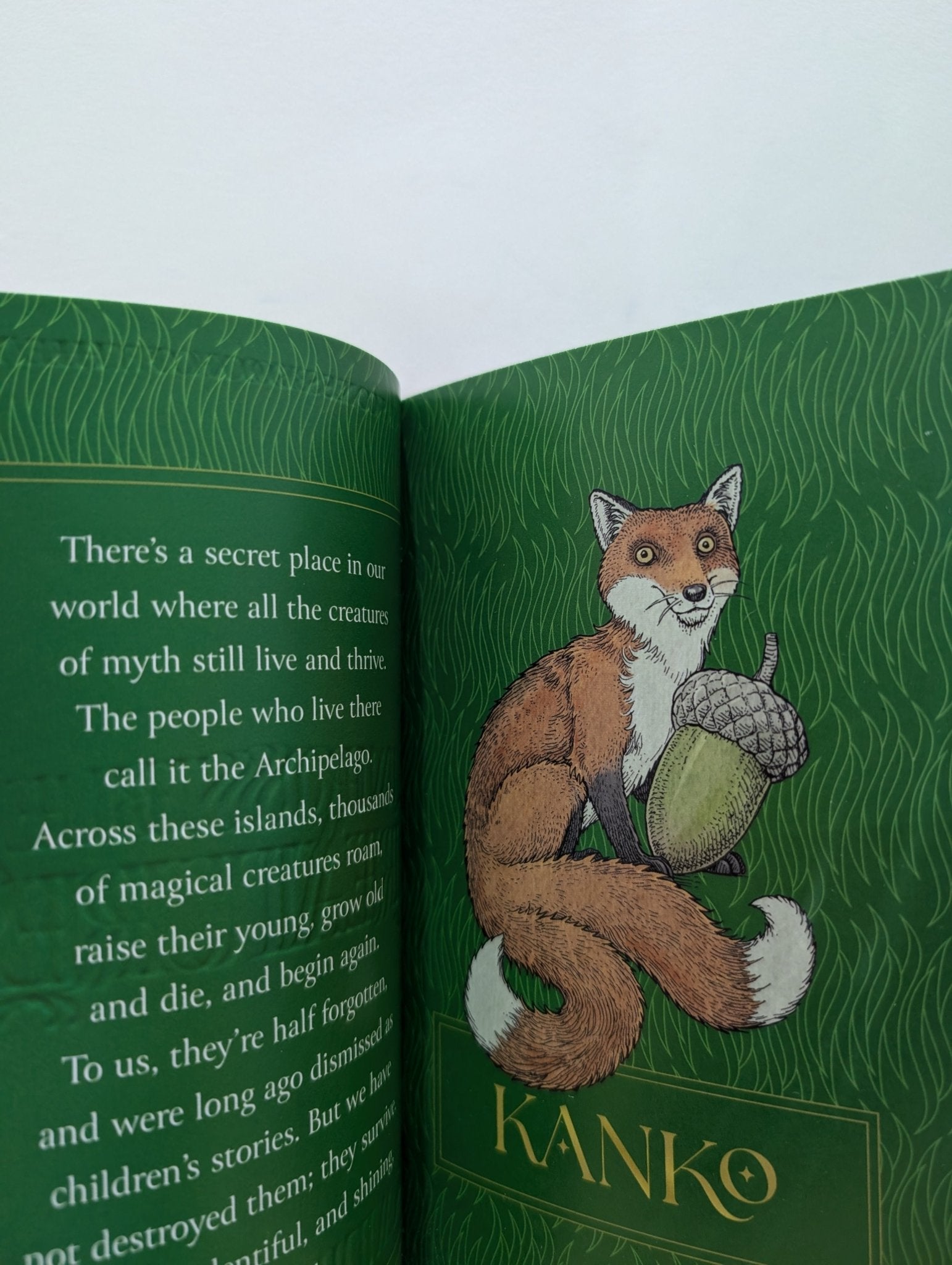 Impossible Creatures by Katherine Rundell (Signed paperback Kanko Edition with extra content) - Fialta Books