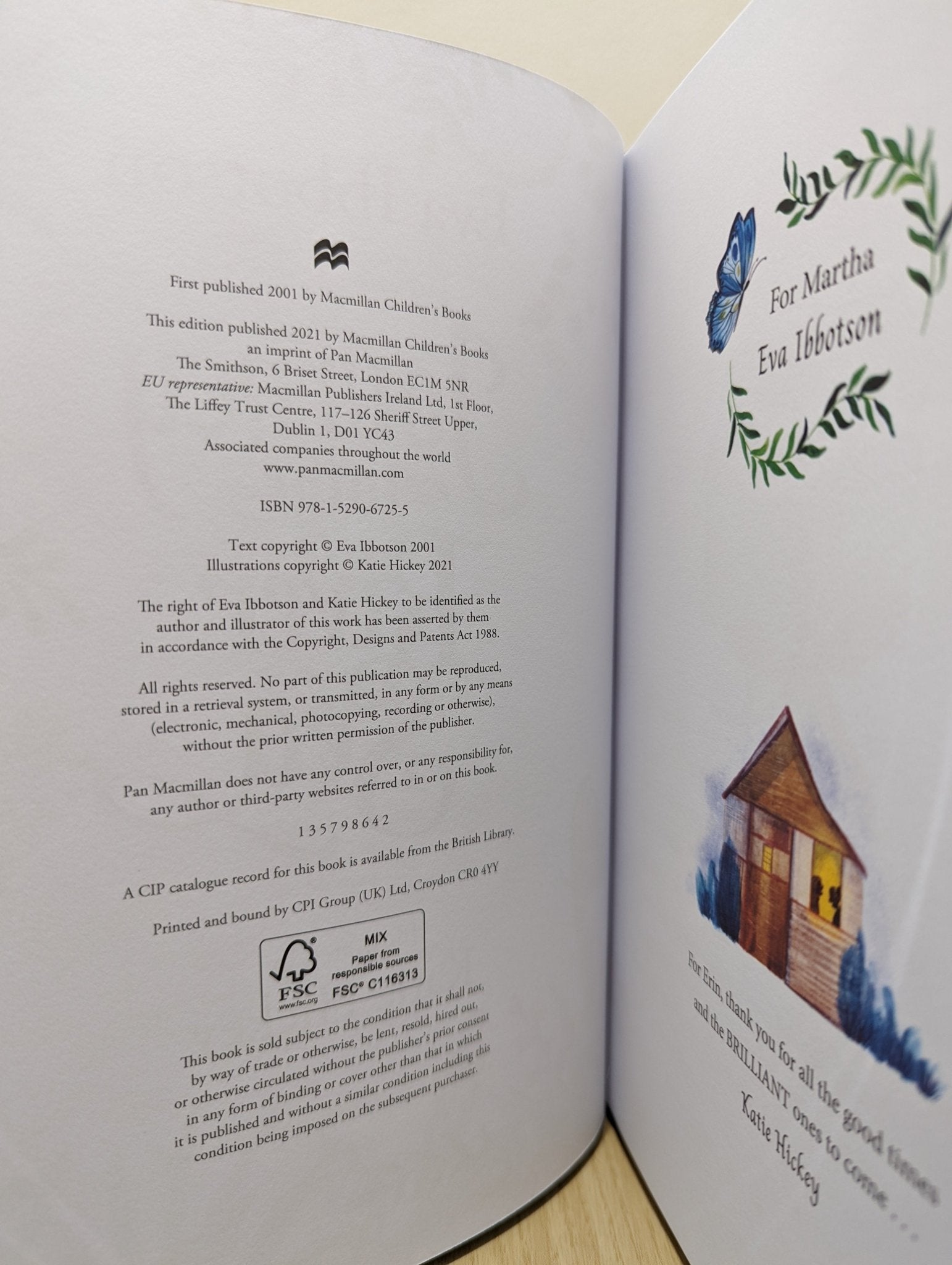 Journey to the River Sea: Illustrated Edition by Eva Ibbotson - Fialta Books