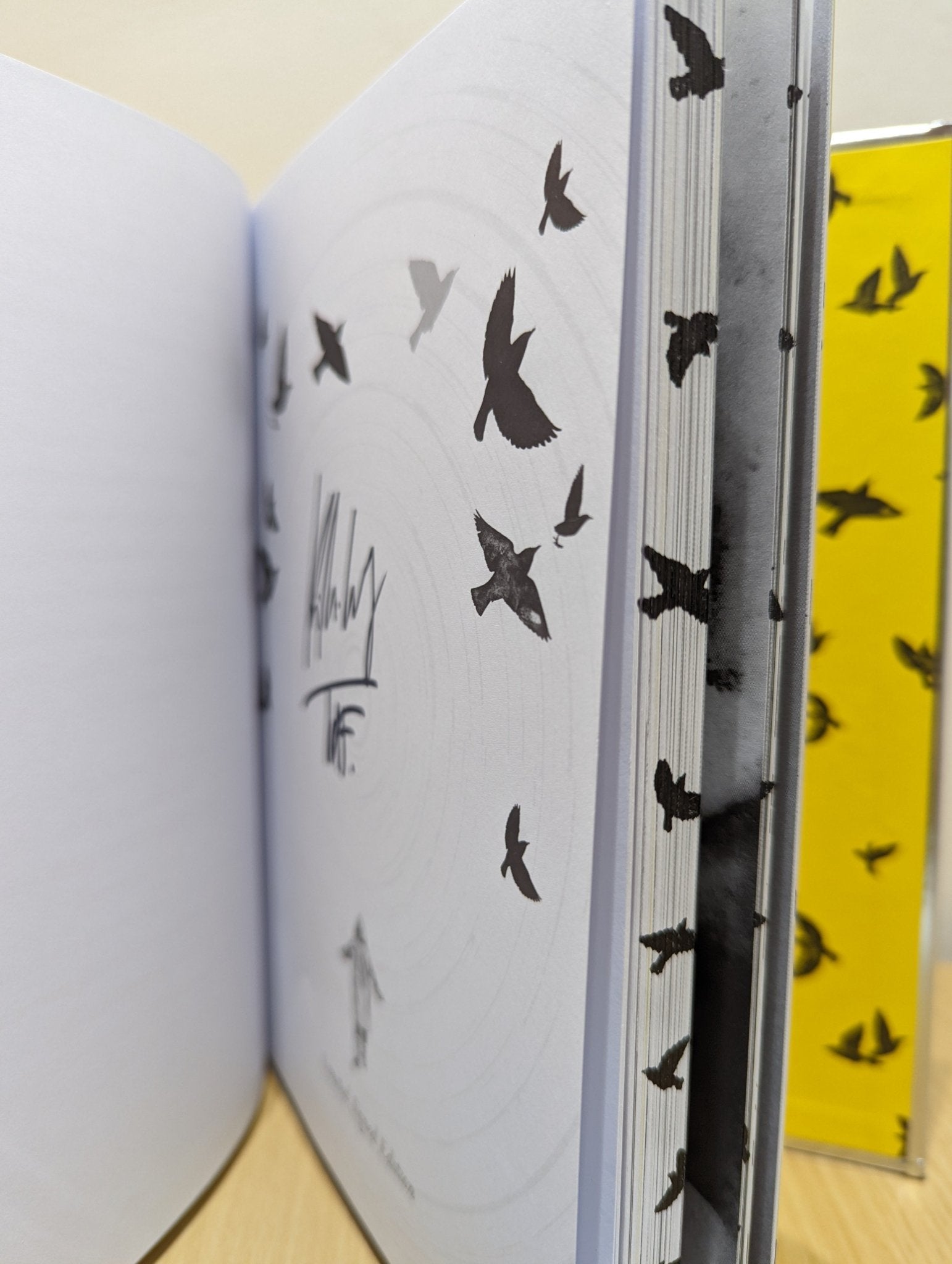 Julia and the Shark by Kiran Millwood Hargrave (Signed) - Fialta Books