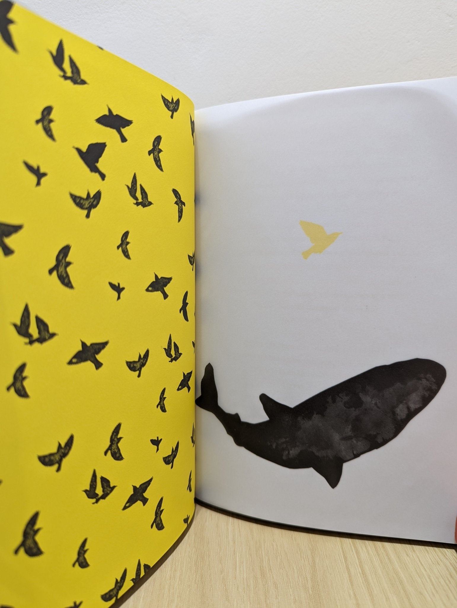 Julia and the Shark by Kiran Millwood Hargrave (Signed) - Fialta Books