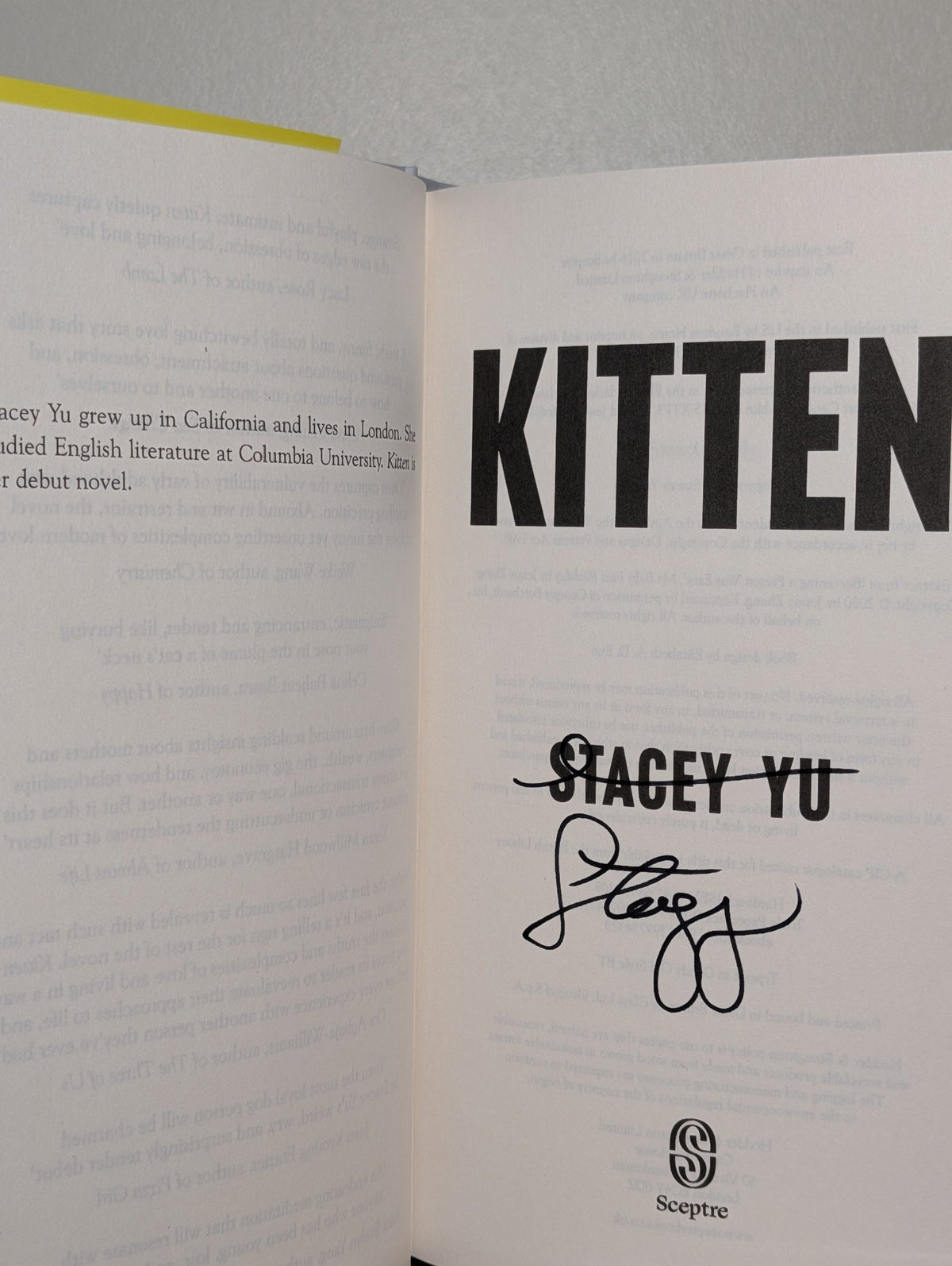 Kitten by Stacey Yu (Signed First Edition) - Fialta Books