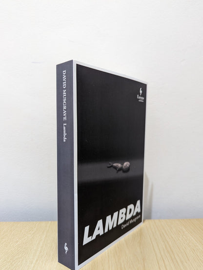 Lambda by David Musgrave (Signed First Edition) - Fialta Books