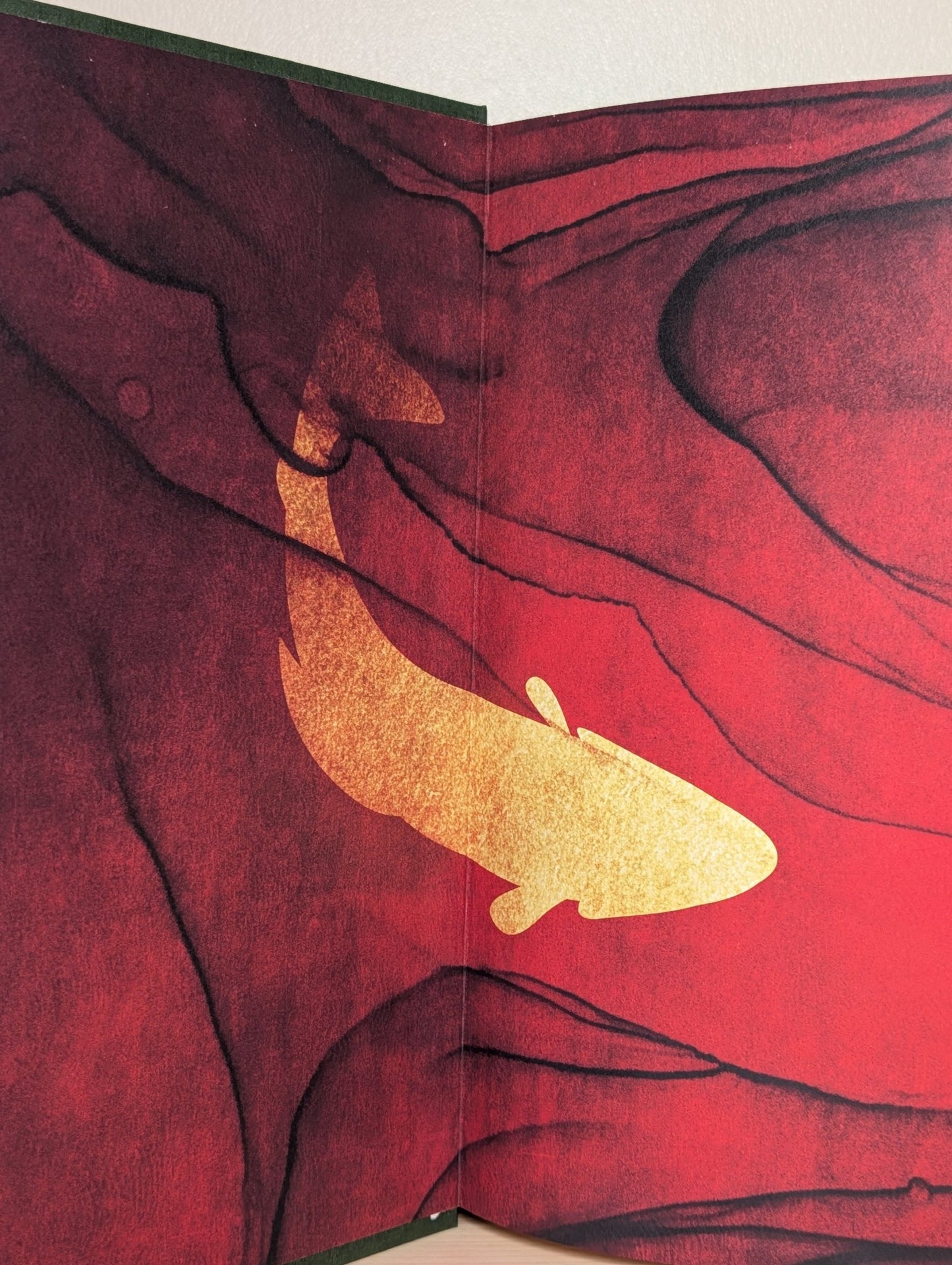 Land by Maggie O'Farrell (First Edition with exclusive boards and endpapers) - Fialta Books