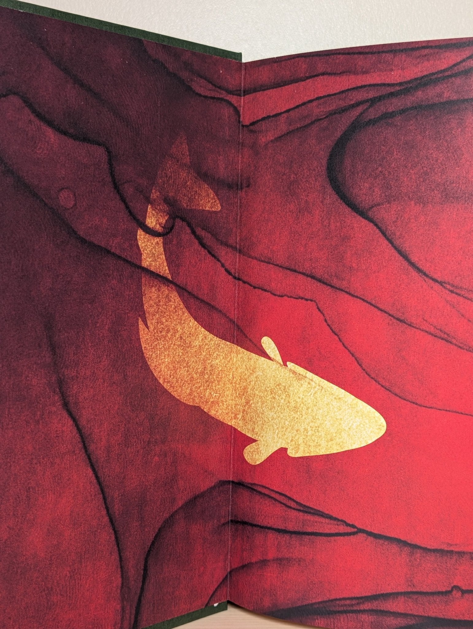 Land by Maggie O'Farrell (First Edition with exclusive boards and endpapers) - Fialta Books