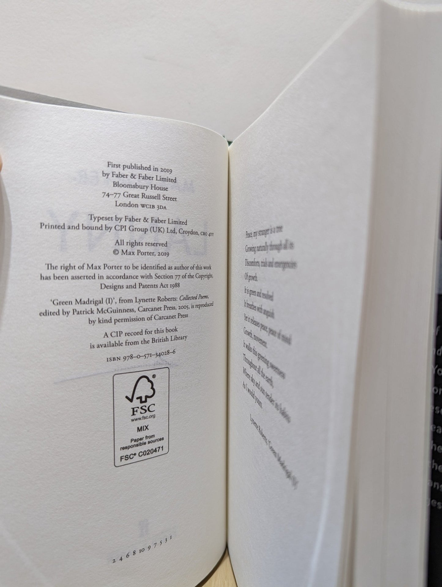 Lanny by Max Porter (Signed First Edition) - Fialta Books