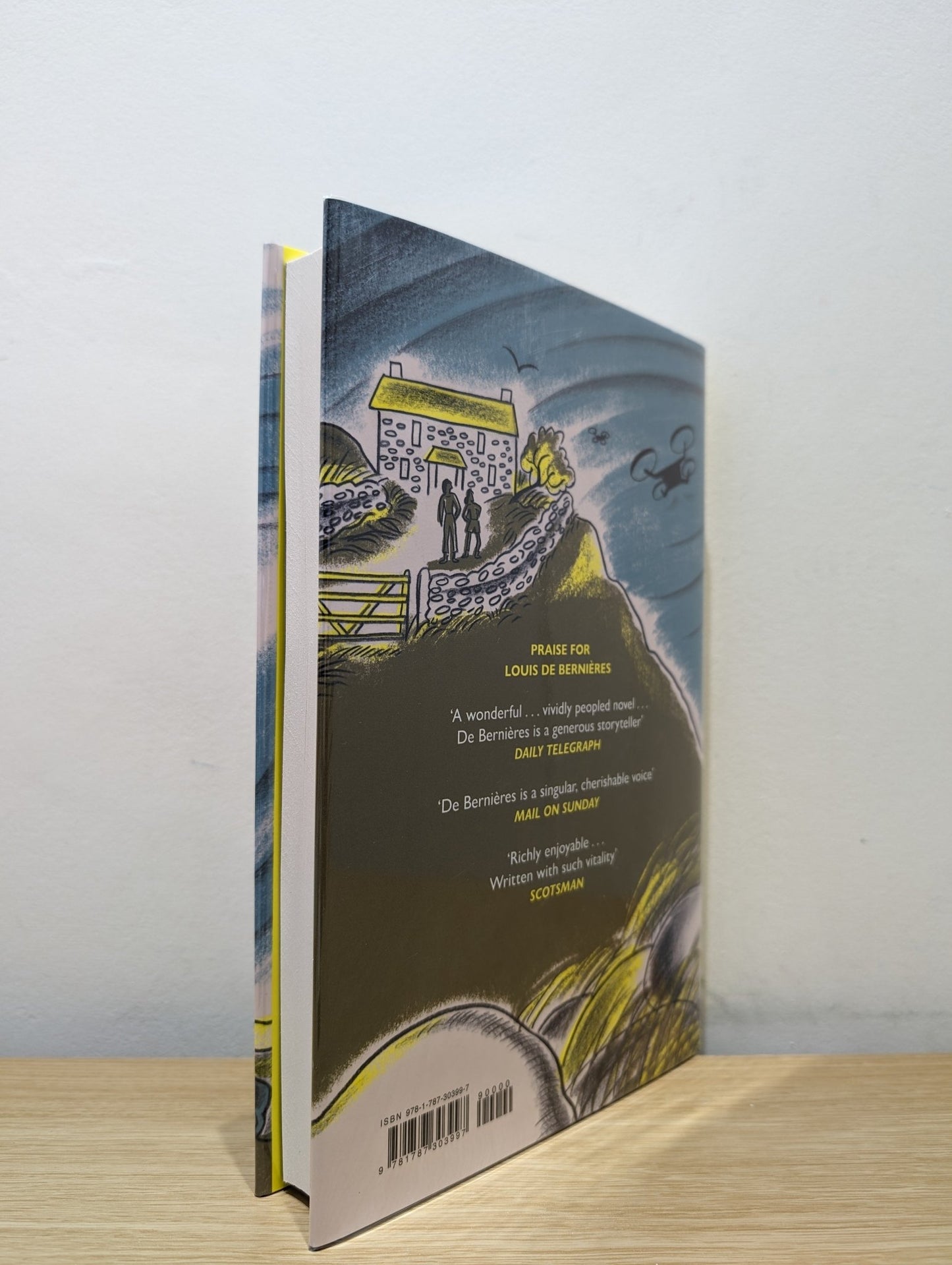 Light Over Liskeard by Louis De Bernieres (Signed First Edition) - Fialta Books