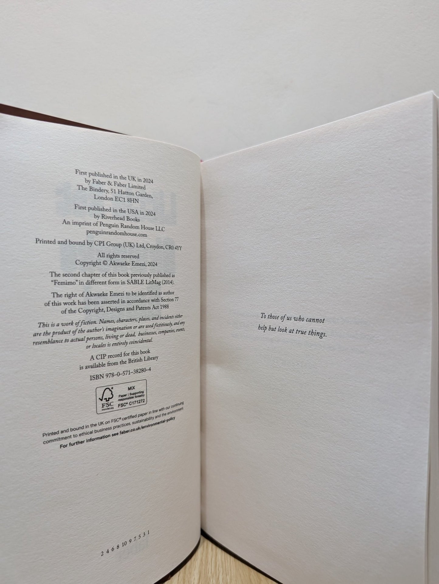 Little Rot by Akwaeke Emezi (First Edition) - Fialta Books