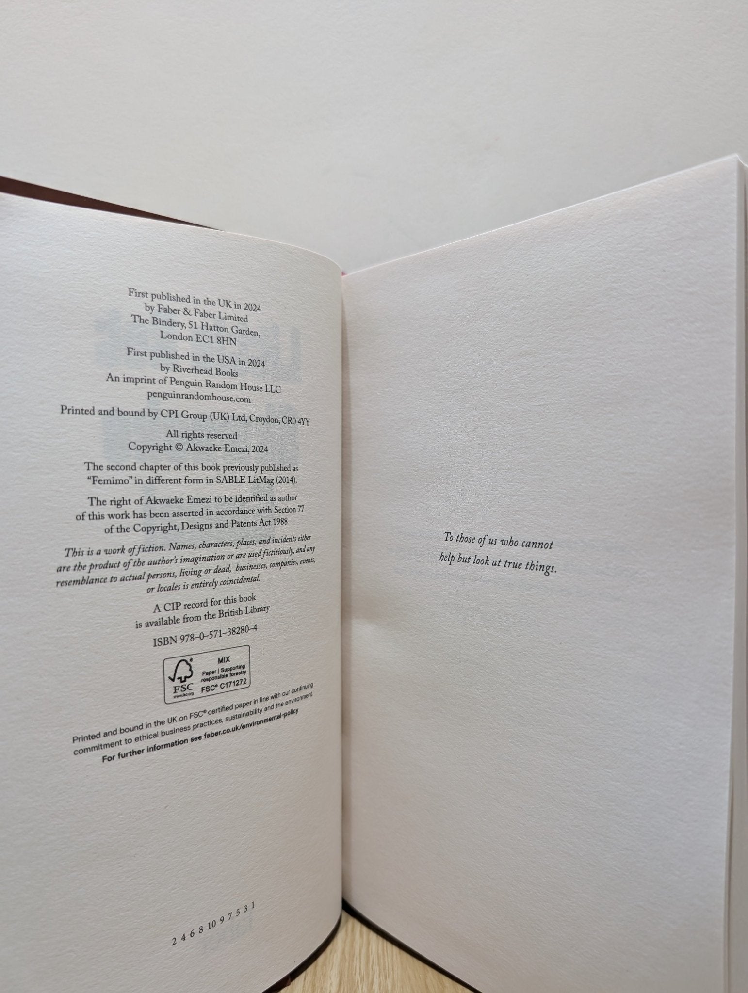 Little Rot by Akwaeke Emezi (First Edition) - Fialta Books