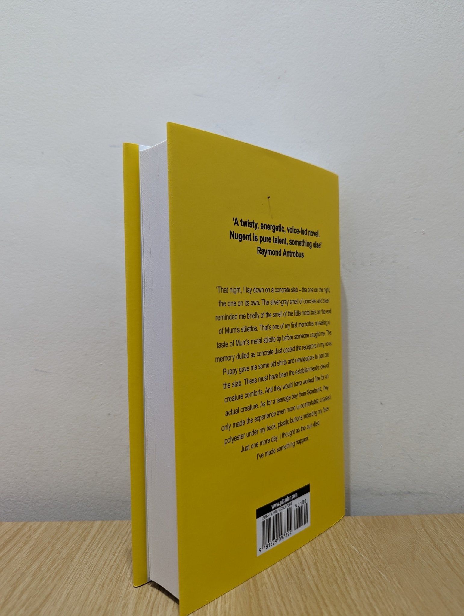 Locks by Ashleigh Nugent (First Edition) - Fialta Books