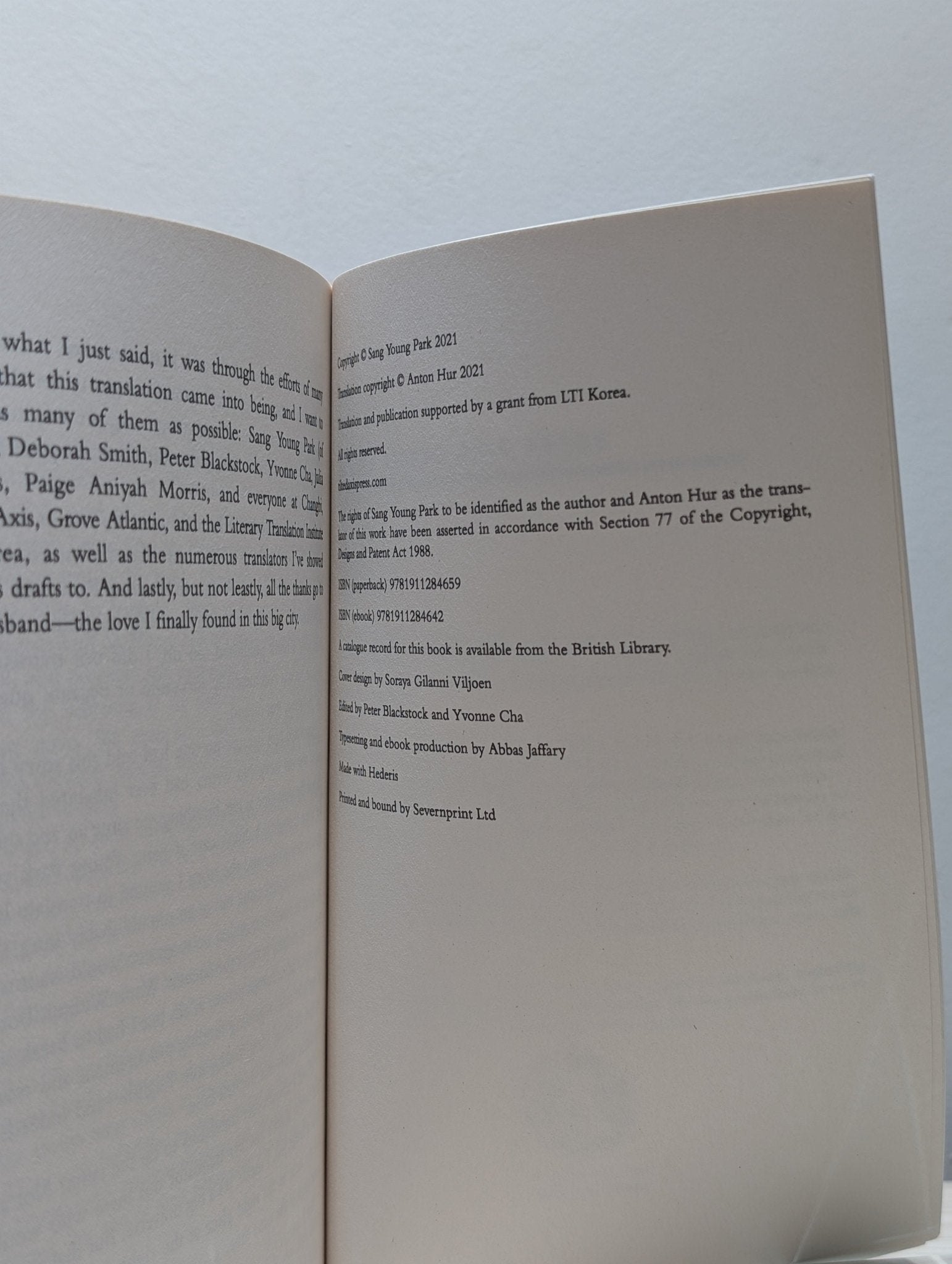 Love in the Big City by Sang Young Park (Signed by translator) - Fialta Books