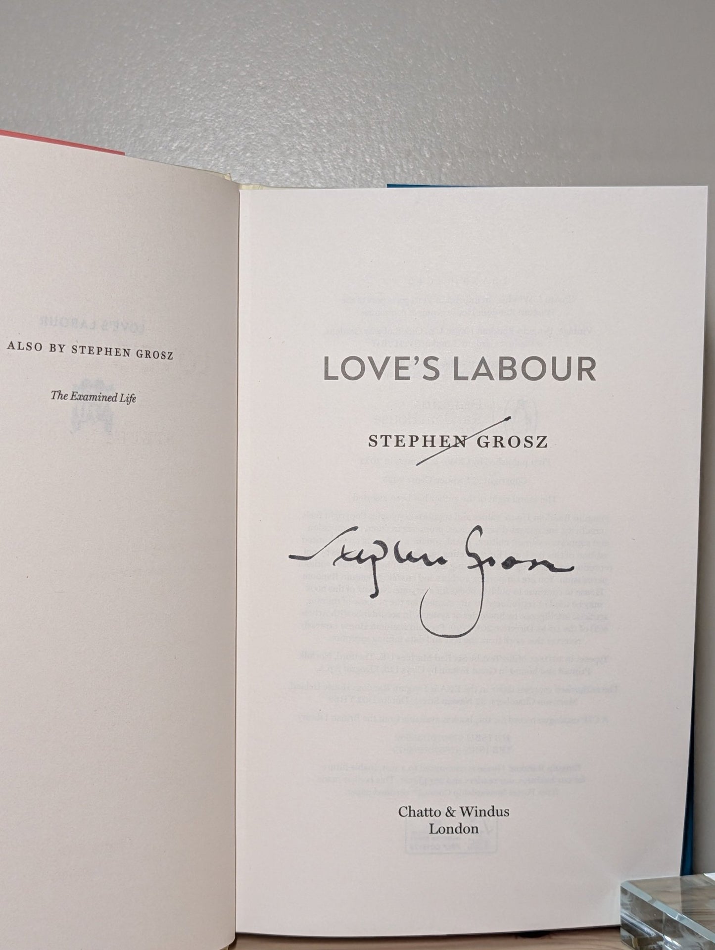 Love's Labour by Stephen Grosz (Signed First Edition) - Fialta Books