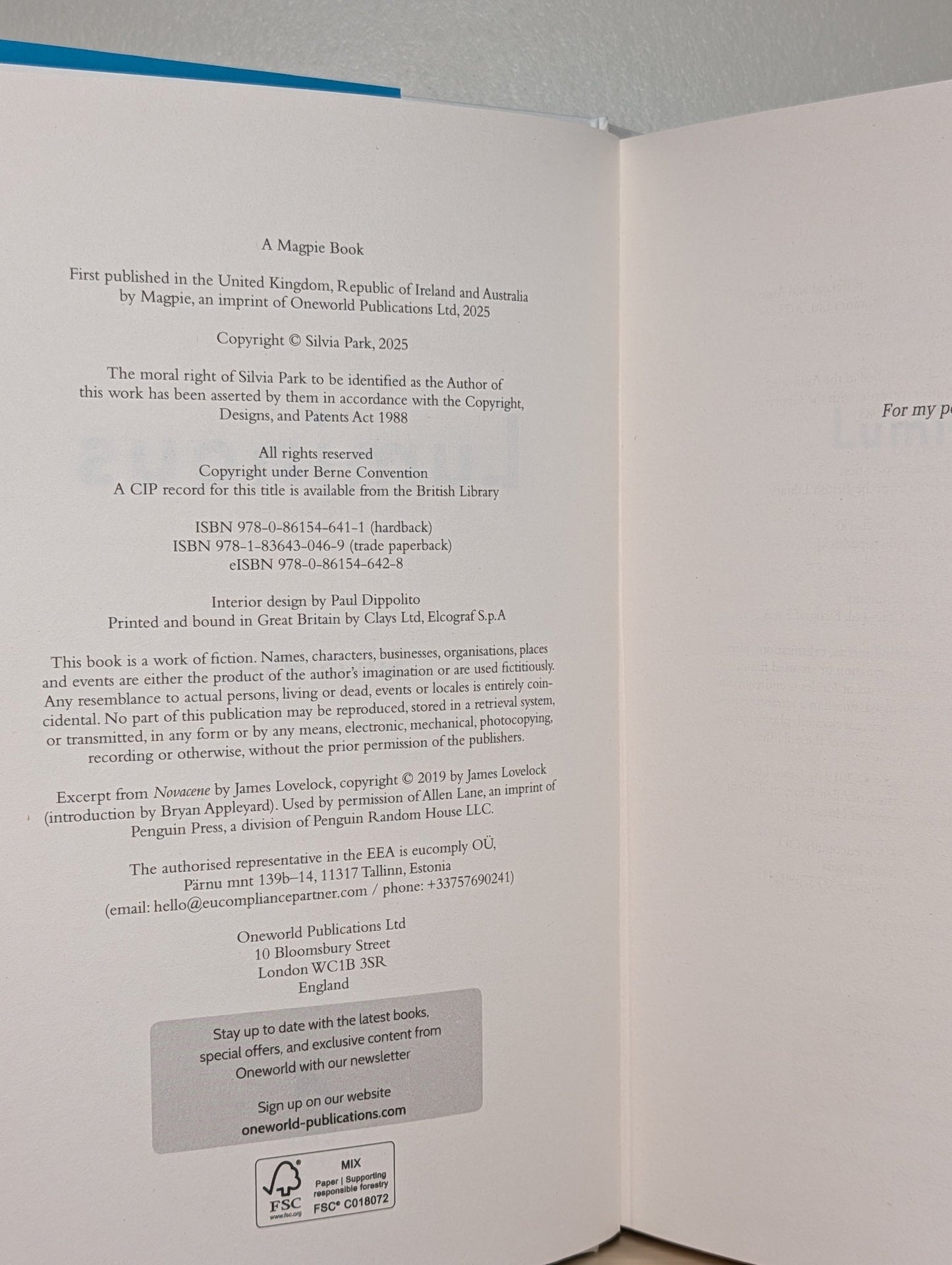 Luminous by Silvia Park (First Edition) - Fialta Books