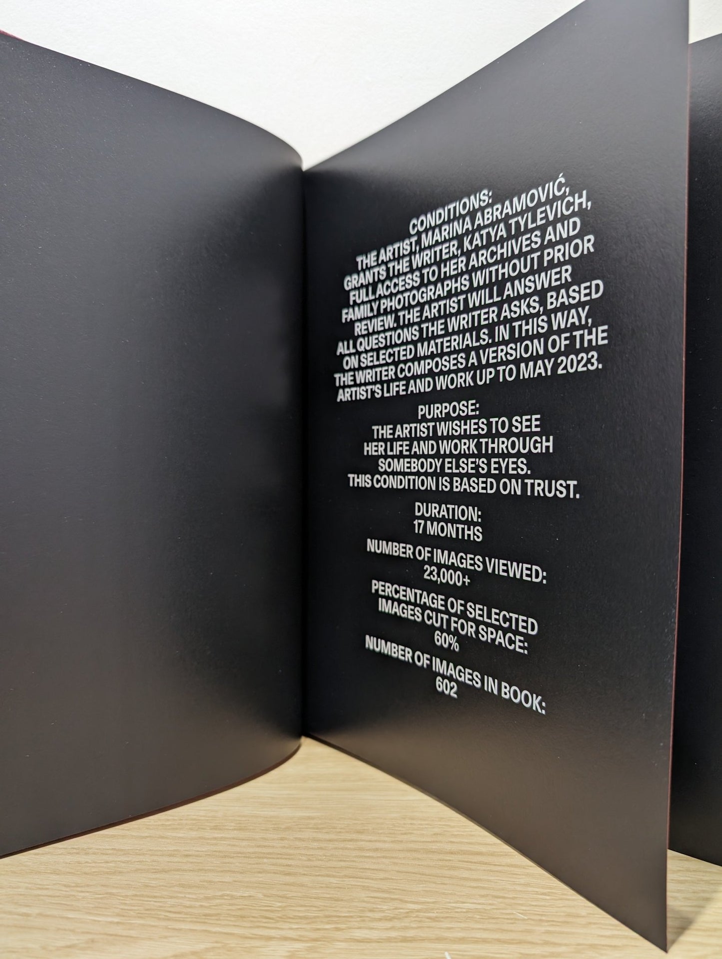 Marina Abramovic: A Visual Biography by Katya Tylevich (Signed First Edition) - Fialta Books