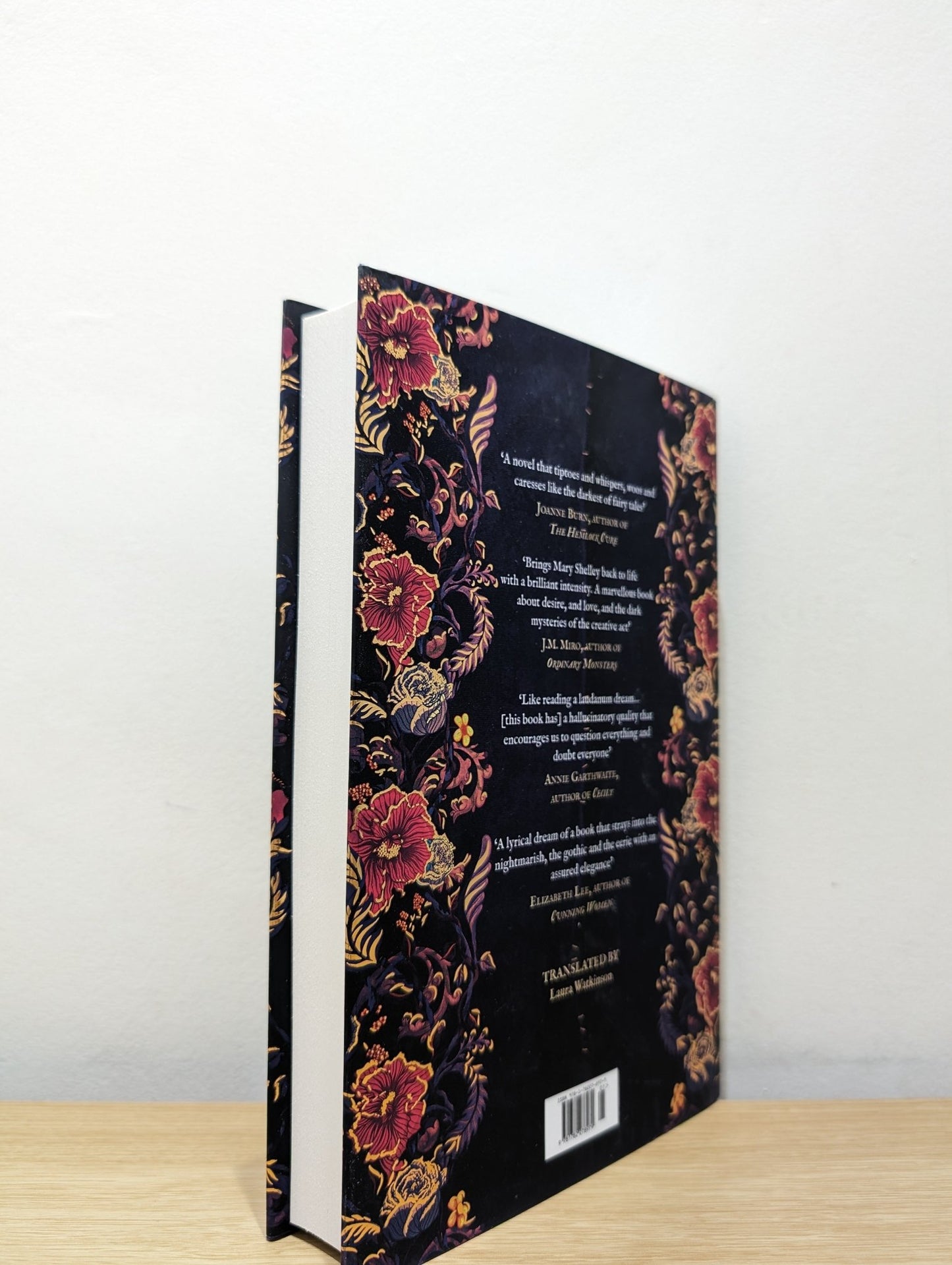 Mary: or, The Birth of Frankenstein by Anne Eekhout (Signed First Edition) - Fialta Books