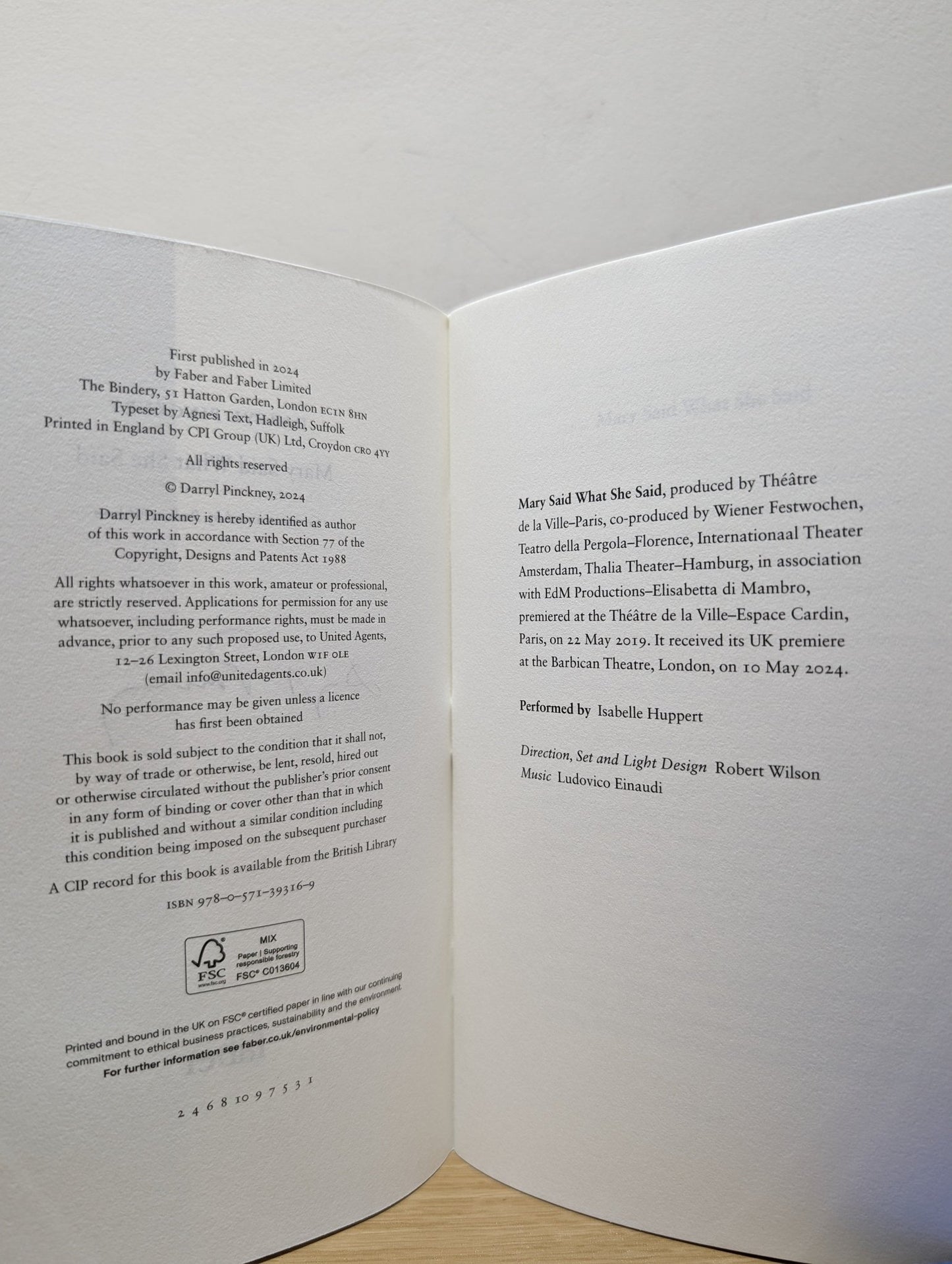 Mary Said What She Said by Darryl Pinckney (Signed First Edition) - Fialta Books